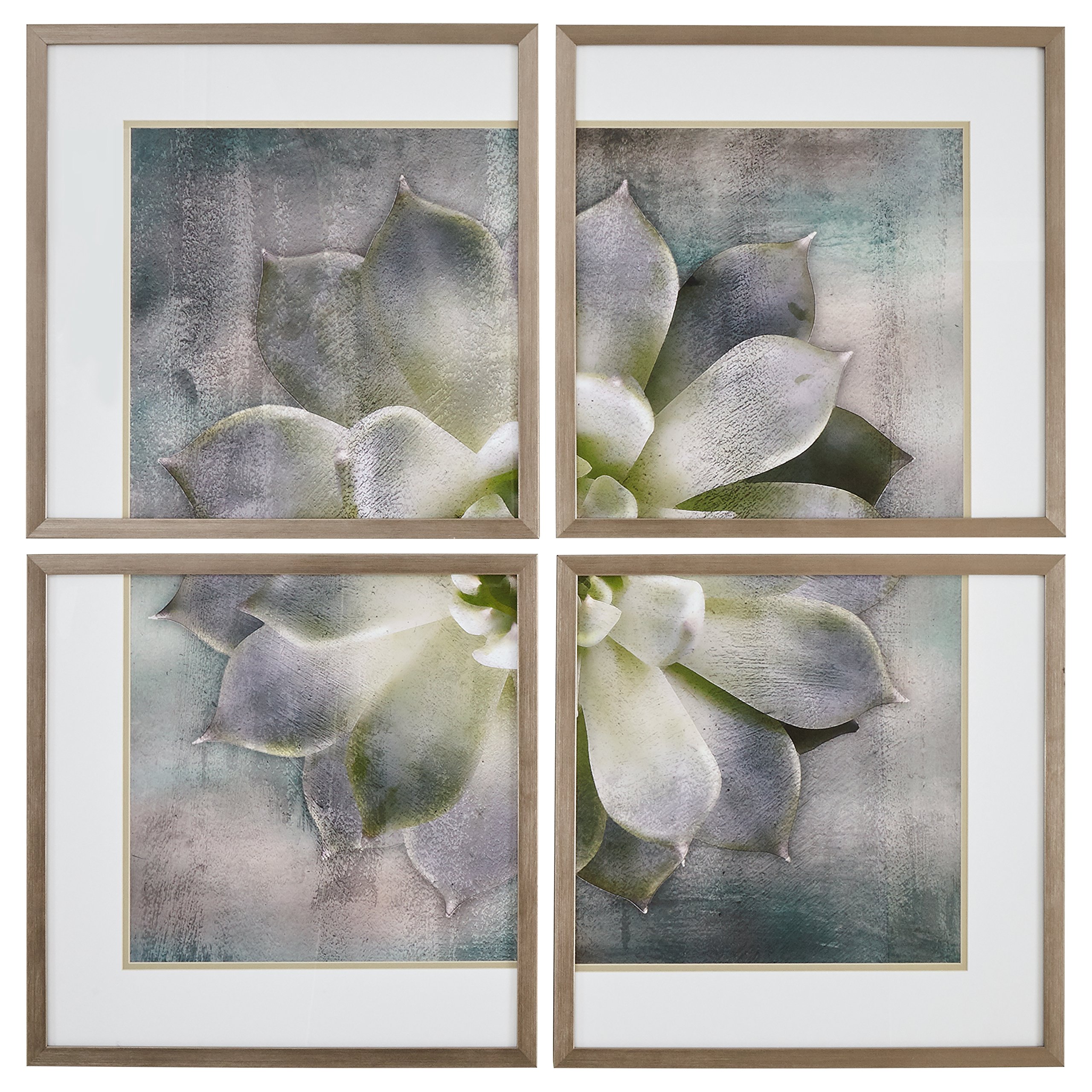 Amazon Brand – Stone & Beam Classic 4-Piece Succulent Print, Wood-Tone Frame, 20" x 20"
