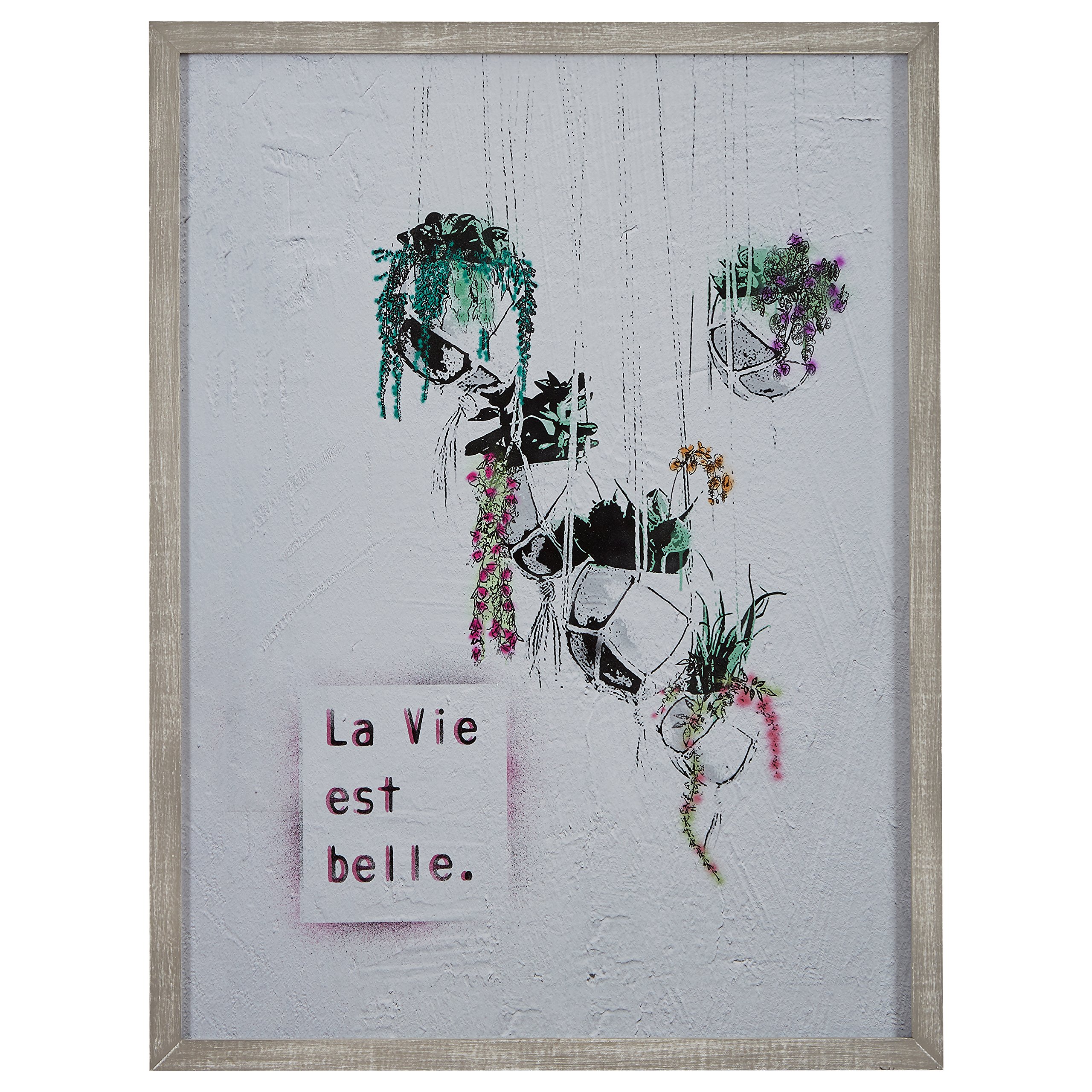 Amazon Brand – Rivet Life is Beautiful Hanging Plants Print Wall Art in Gray Wood Frame, 30.5" x 40.5"