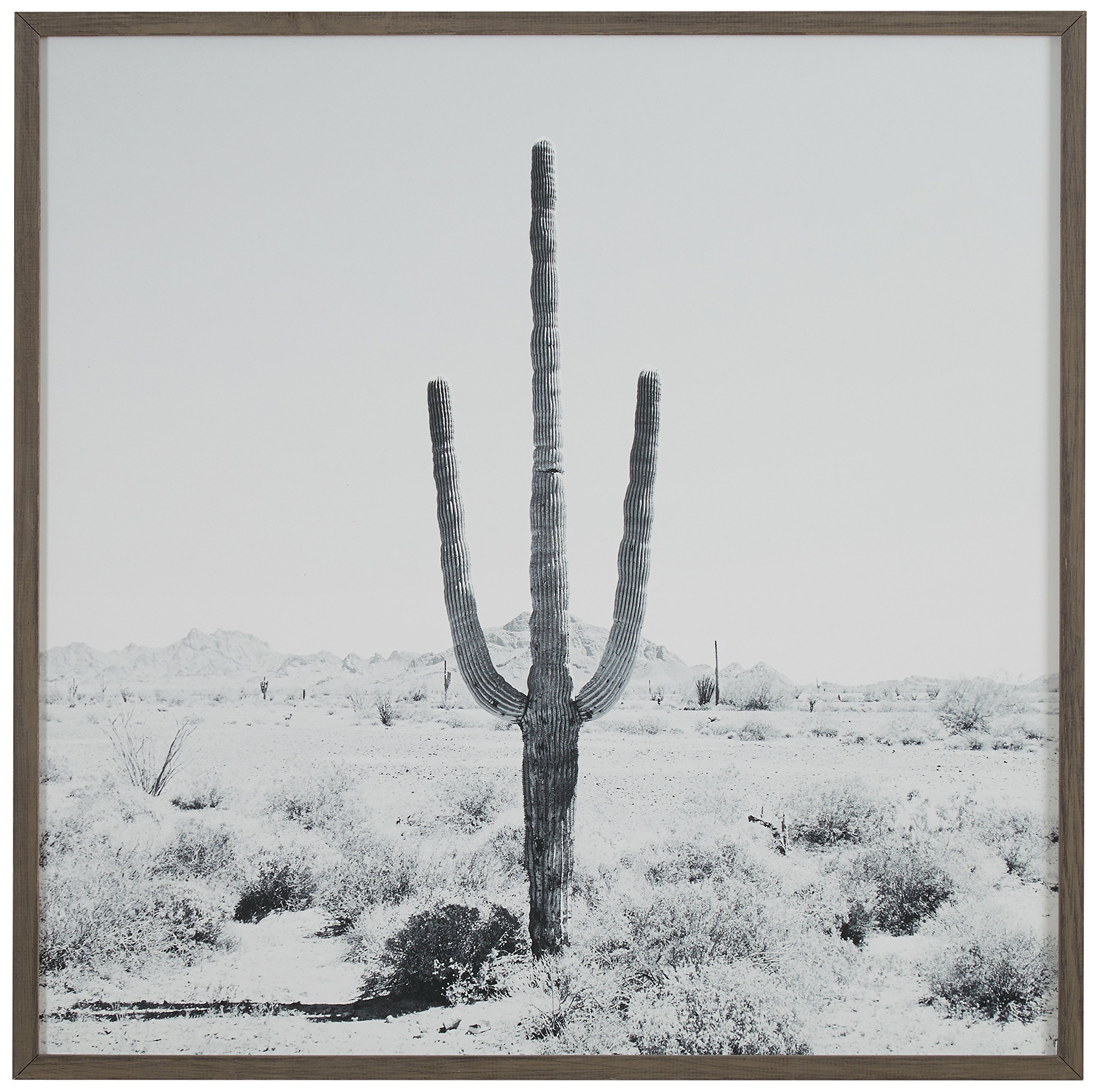 Amazon Brand – Stone & Beam Modern Black and White Desert Cactus Photo on Wood, Grey Frame, 12" x 12"