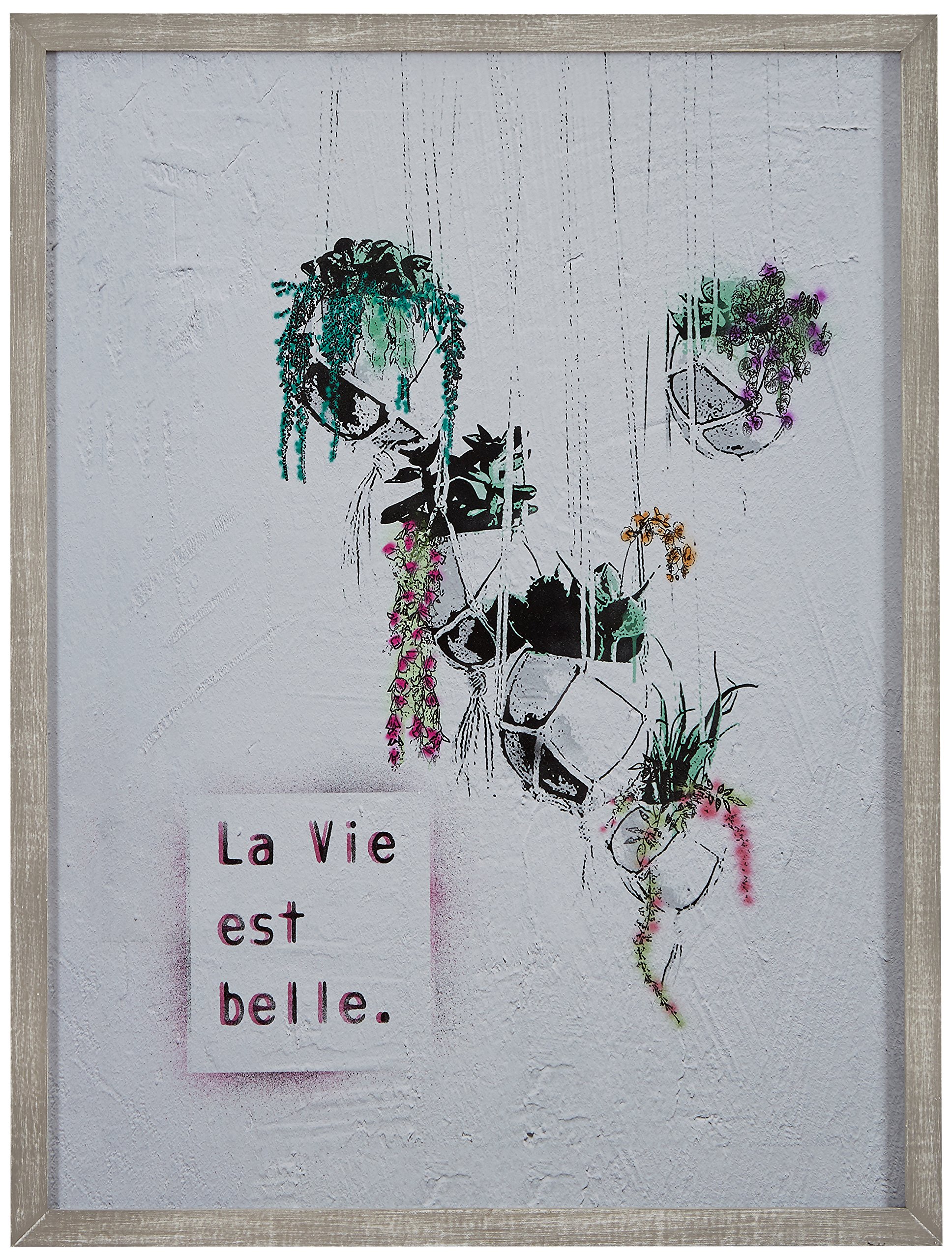 Amazon Brand – Rivet Life is Beautiful Hanging Plants Print Wall Art in Gray Wood Frame, 16.5" x 20.5"