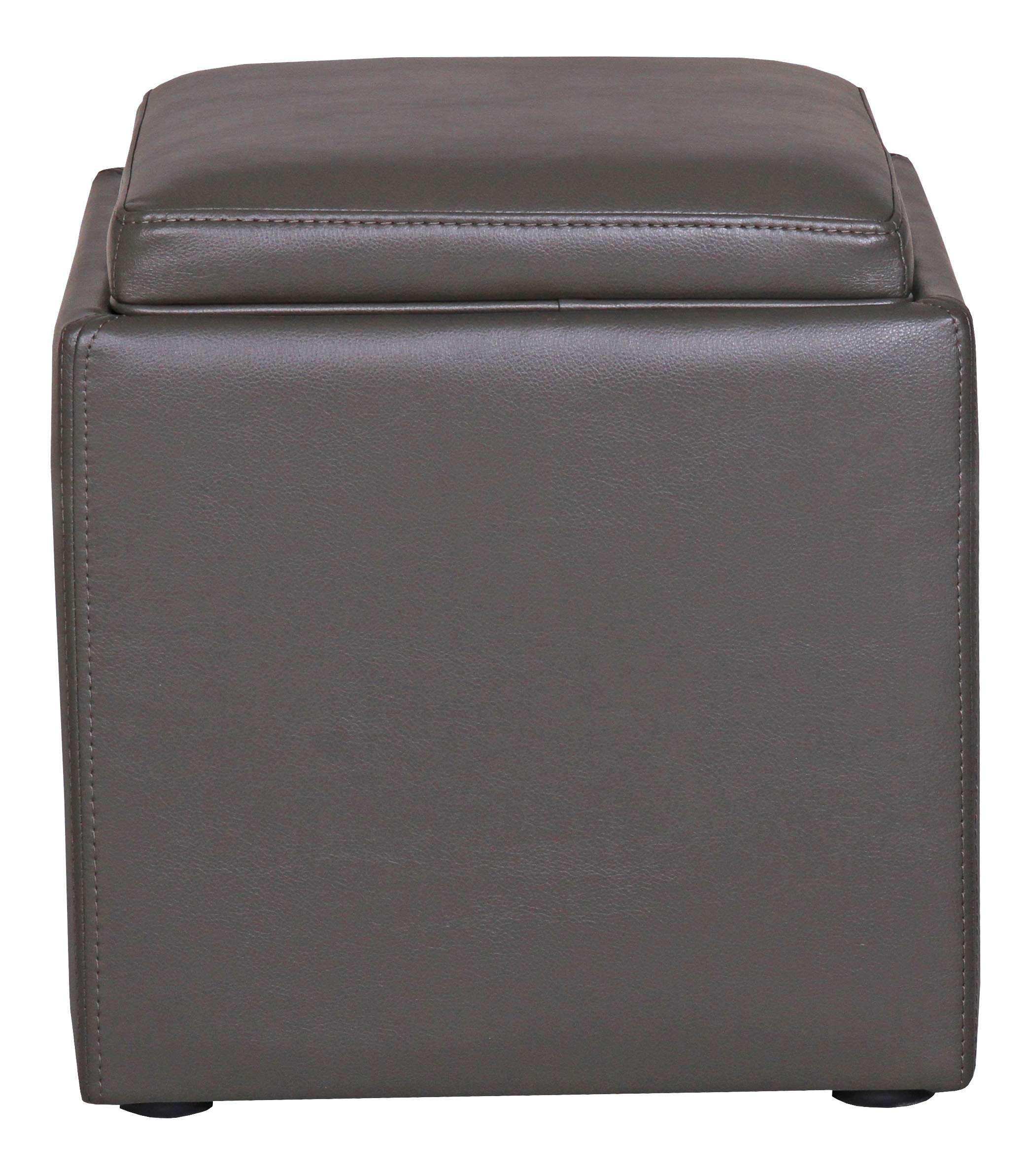 Amazon Brand – Rivet Ross Modern Vegan Faux Leather Lift-Top Storage Ottoman Pouf, 17.7"W, Grey