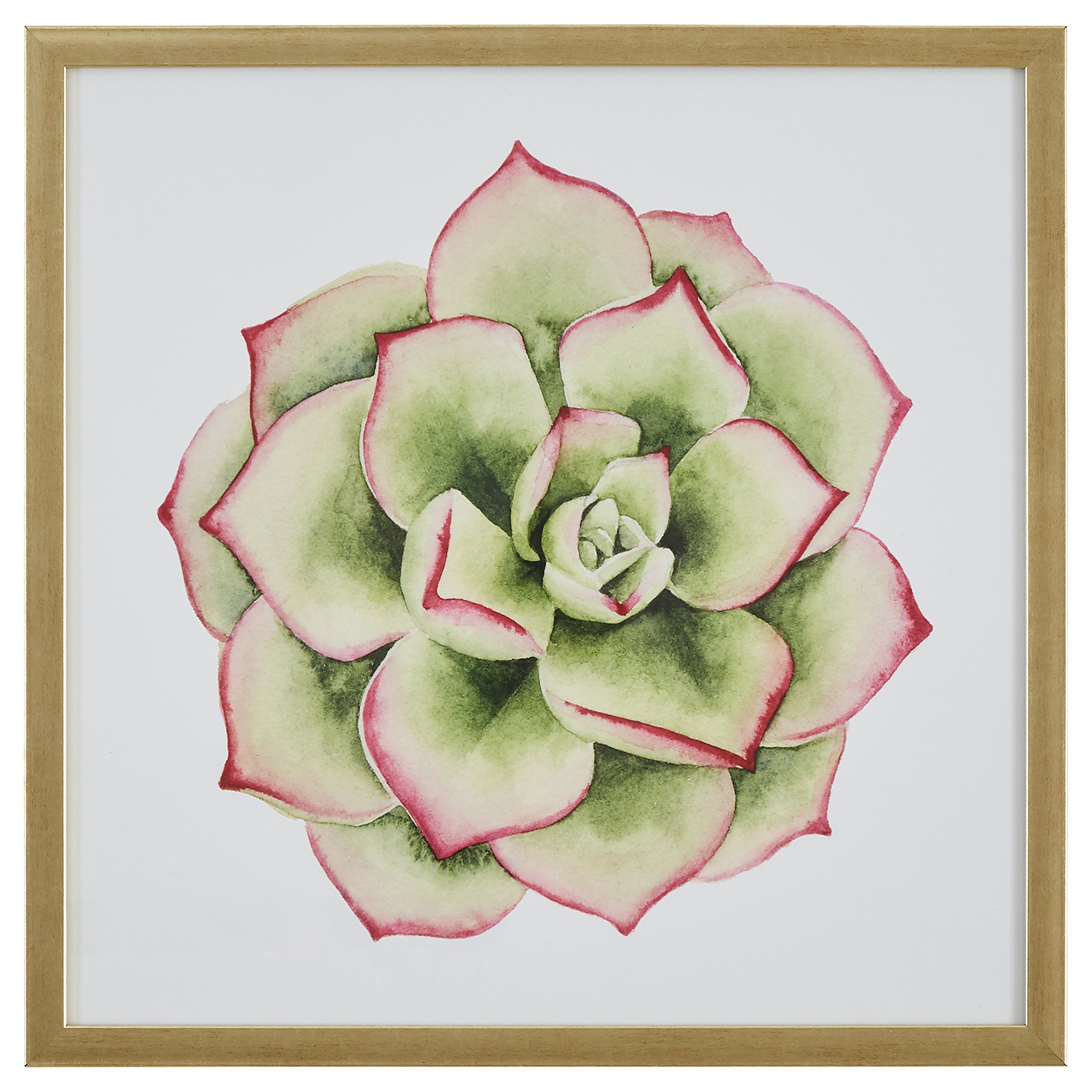 Amazon Brand – Stone & Beam Modern Green and Pink Tipped Succulent Print Wall Art Decor - 20" x 20" Frame, Light Gold