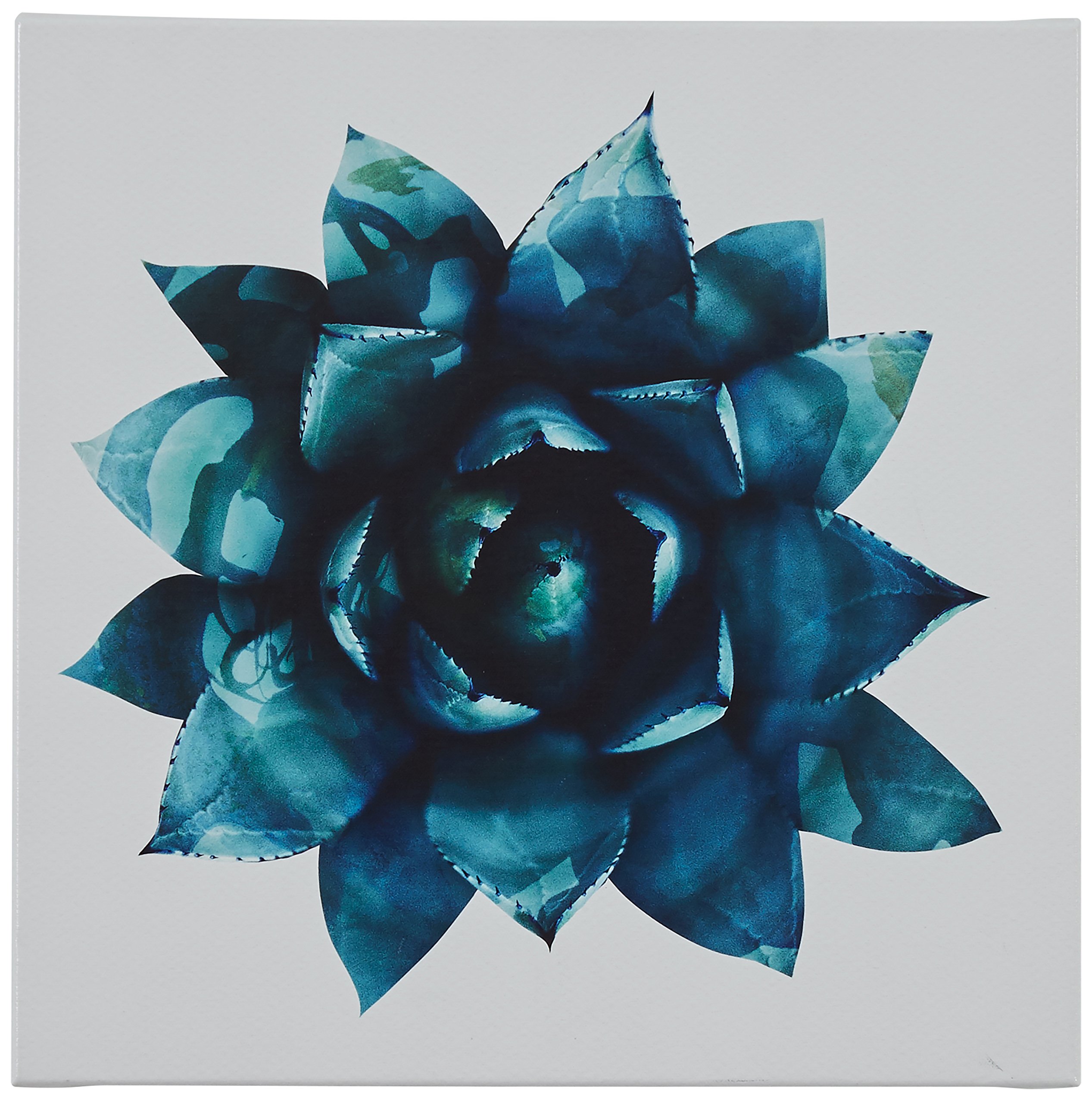Amazon Brand – Rivet Ripple Teal Succulent Canvas Print Wall Art Decor, 12" x 12"