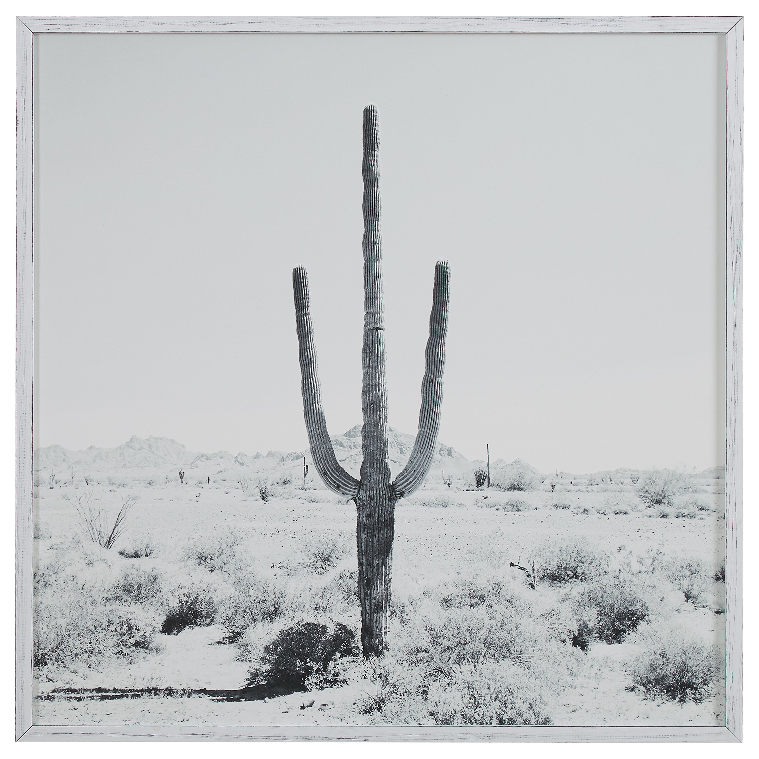 Amazon Brand – Stone & Beam Modern Black and White Desert Cactus Photo on Wood, White Frame, 30" x 30"
