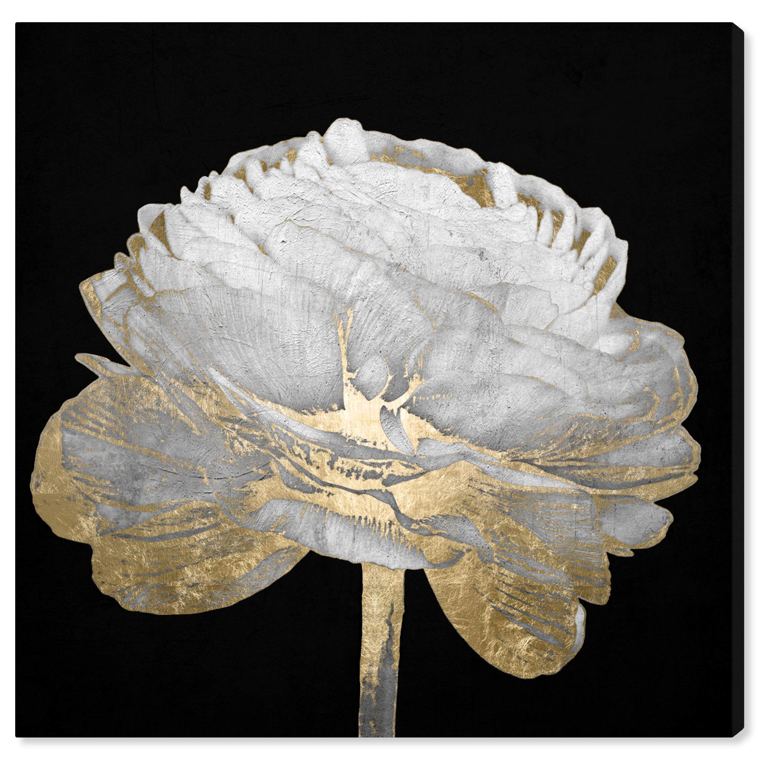 Amazon Brand – Rivet Side View Black, White and Gold Floral Canvas Print Wall Art Decor, 16" x 16"
