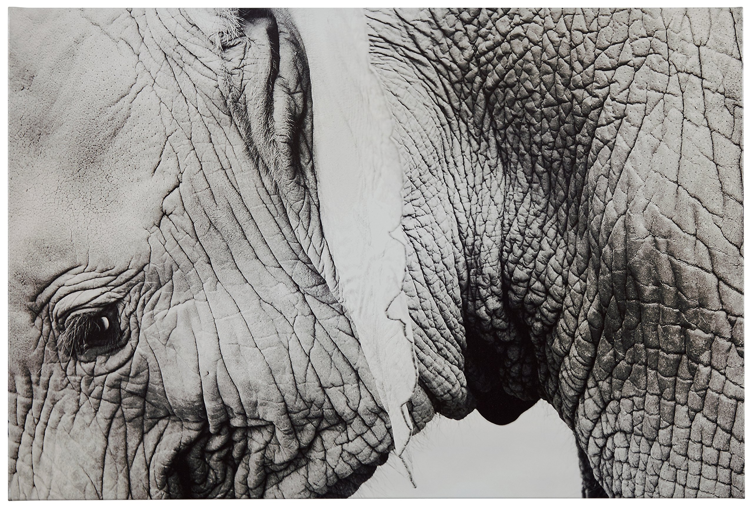 Amazon Brand – Rivet Up Close Black and White Elephant Photo Canvas Print Wall Art Decor, 36" x 24"