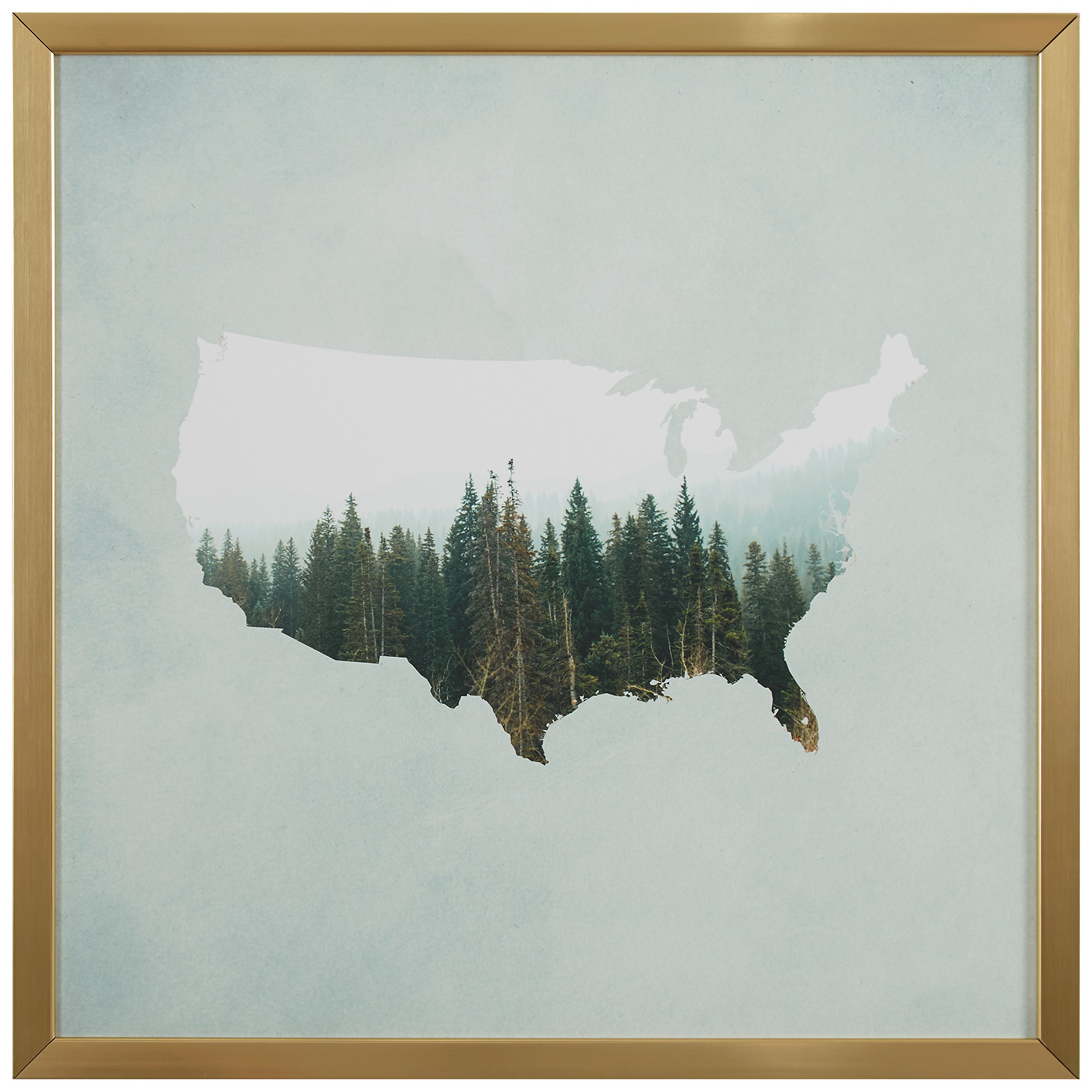 Amazon Brand – Rivet American Forest Map Wall Art Print in Gold Wood Frame, 12" x 12"