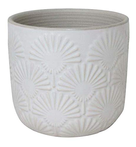 Amazon Brand – Stone & Beam Small Fan-Embossed Planter, 4.3"H, Cloud Dancer White