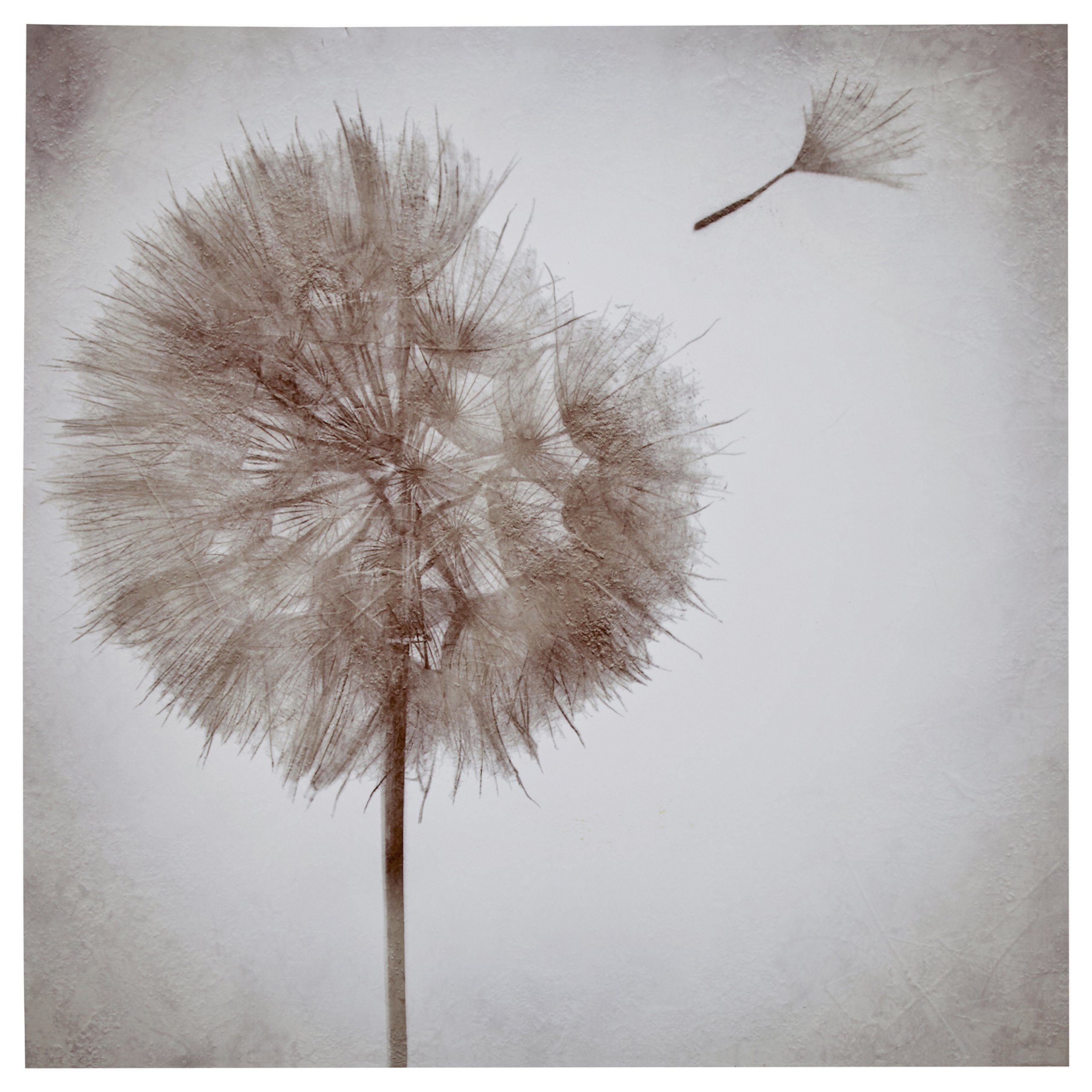 Amazon Brand – Rivet Faded Dandelion in The Breeze Canvas Wall Art Decor, 30" x 30"