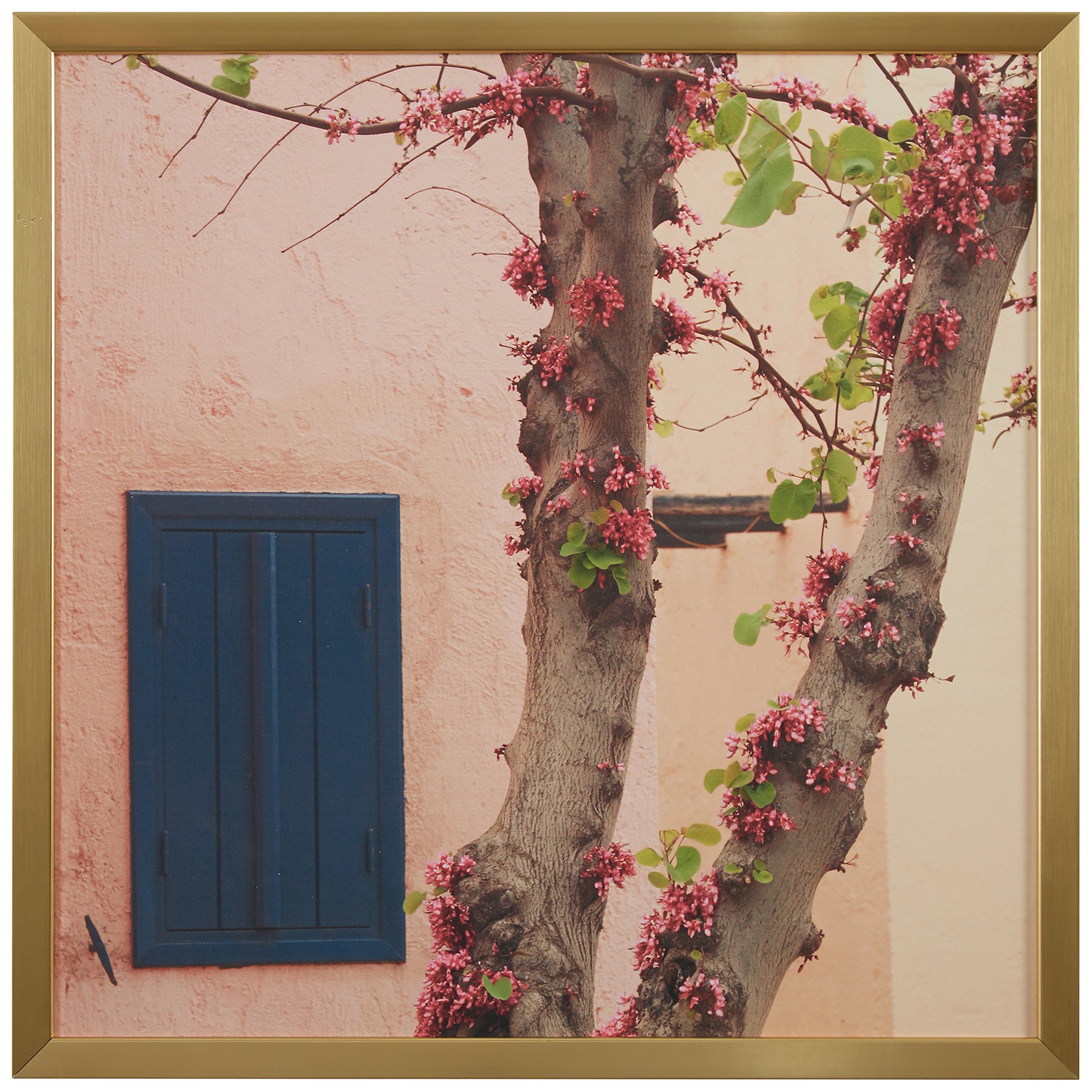 Amazon Brand – Rivet Pink Tree Blossoms at the Villa Photo Print Wall Art, Gold Wood Frame, 20" x 20"