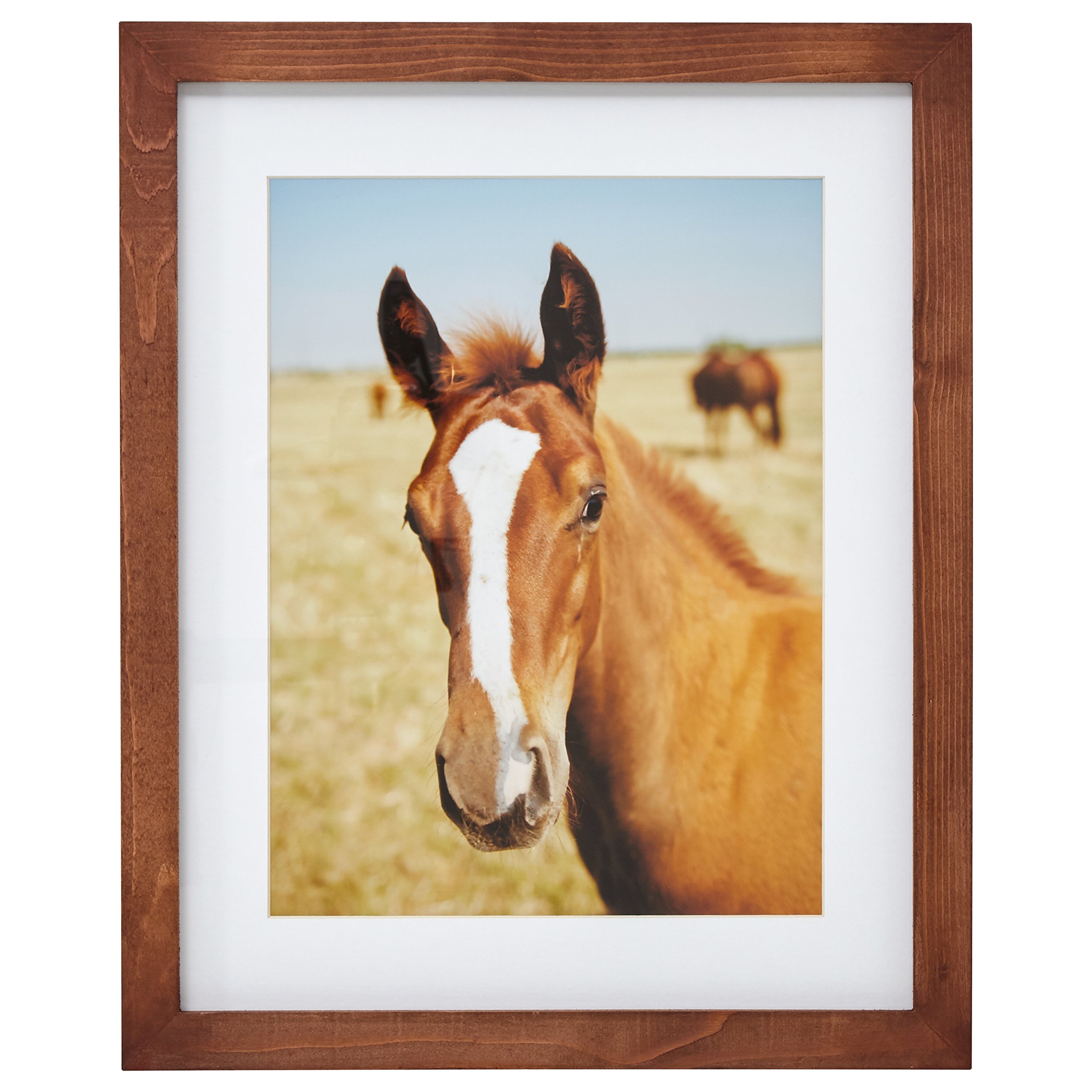 Amazon Brand – Stone & Beam Vibrant Horse Photo Framed Wall Art Decor - 13 x 15 Inch Frame, Rustic Brown