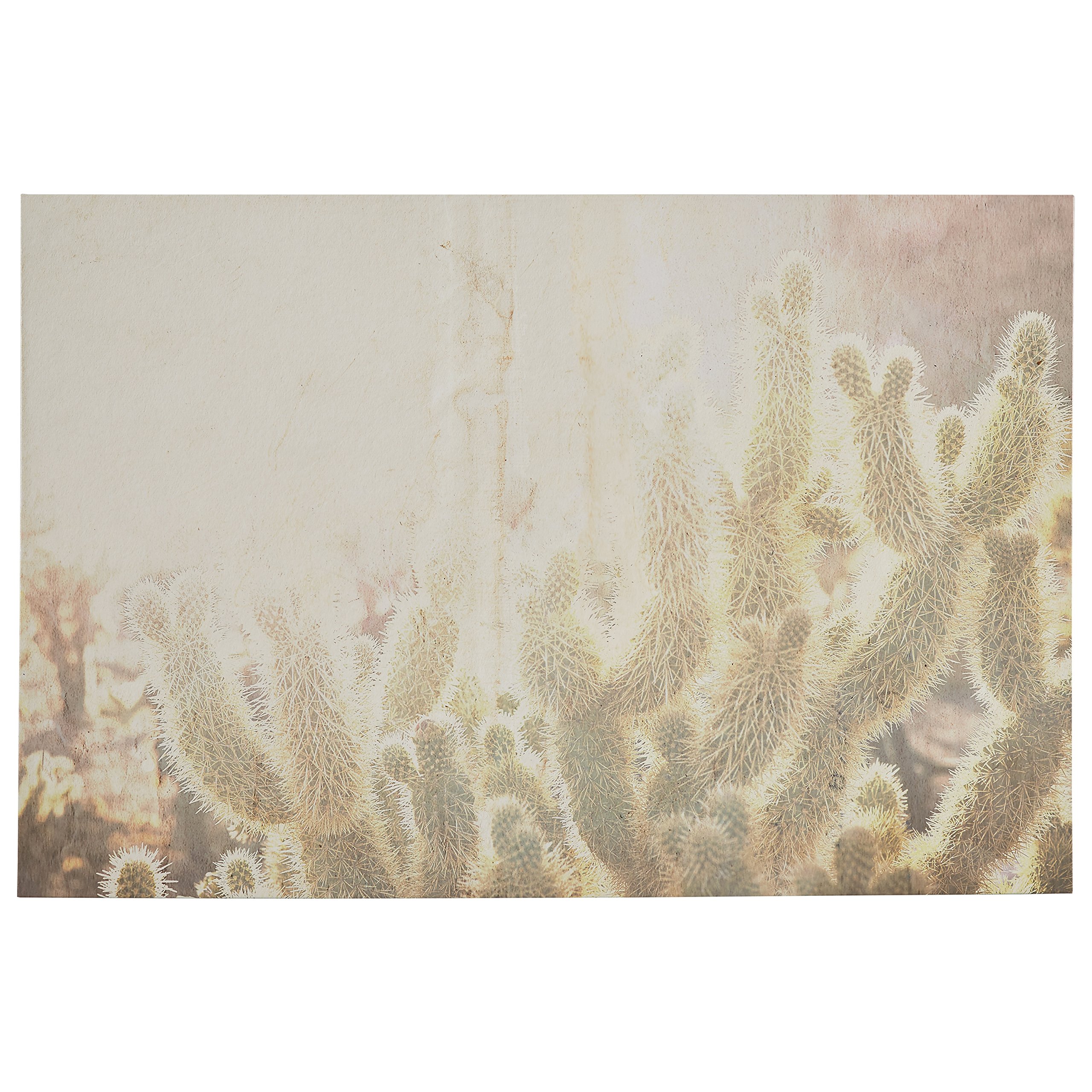 Amazon Brand – Rivet Sun Exposed Cactus Canvas Photo Print 60" x 40"