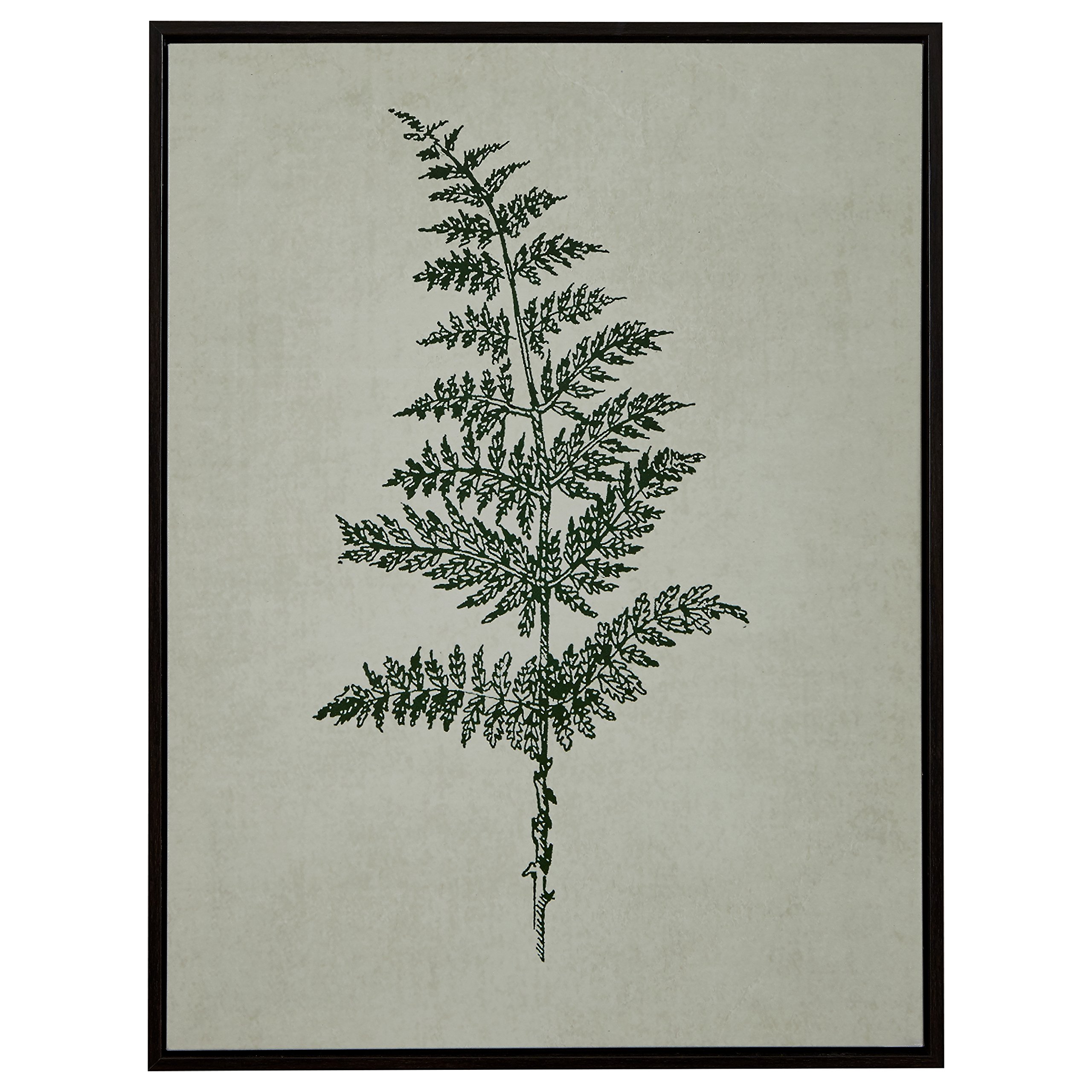 Amazon Brand – Stone & Beam Modern Print Wall Art of Green Fern, Espresso-Color Frame, 31.75" x 41.75"