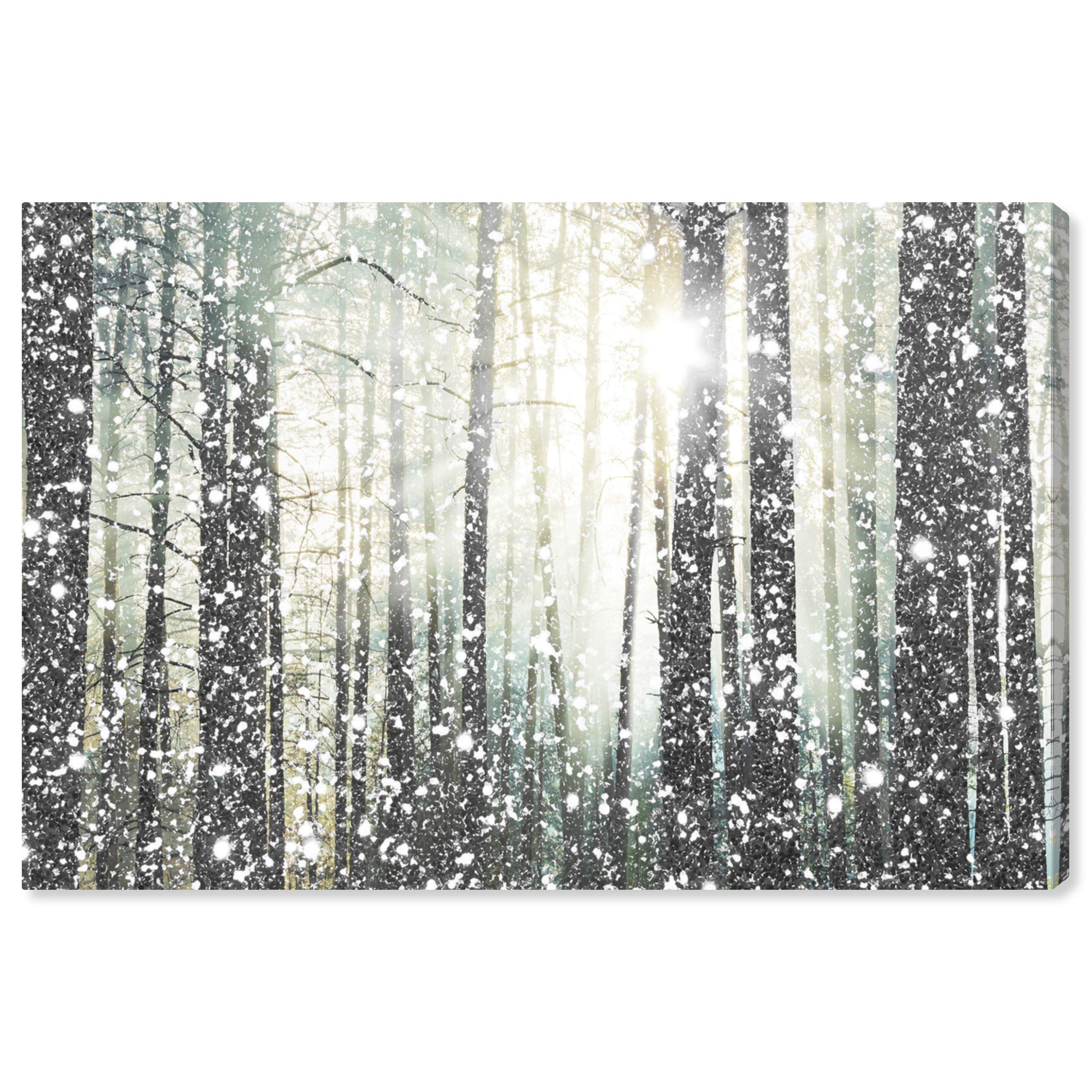 Amazon Brand – Stone & Beam Modern Silver and White Forest Print on Canvas Bathroom Wall Art Decor, 24" x 16"