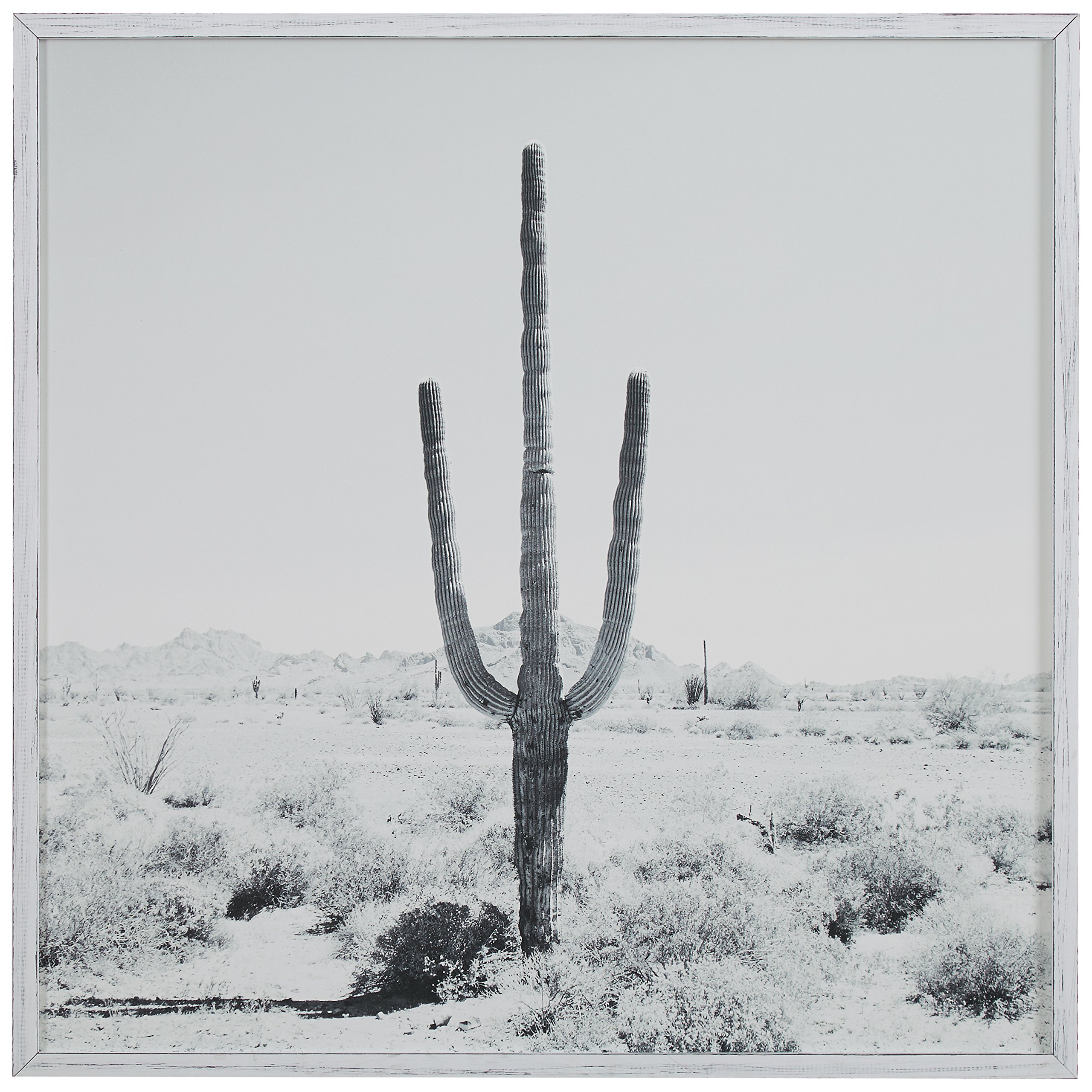 Amazon Brand – Stone & Beam Modern Black and White Desert Cactus Photo on Wood, White Frame, 20" x 20"