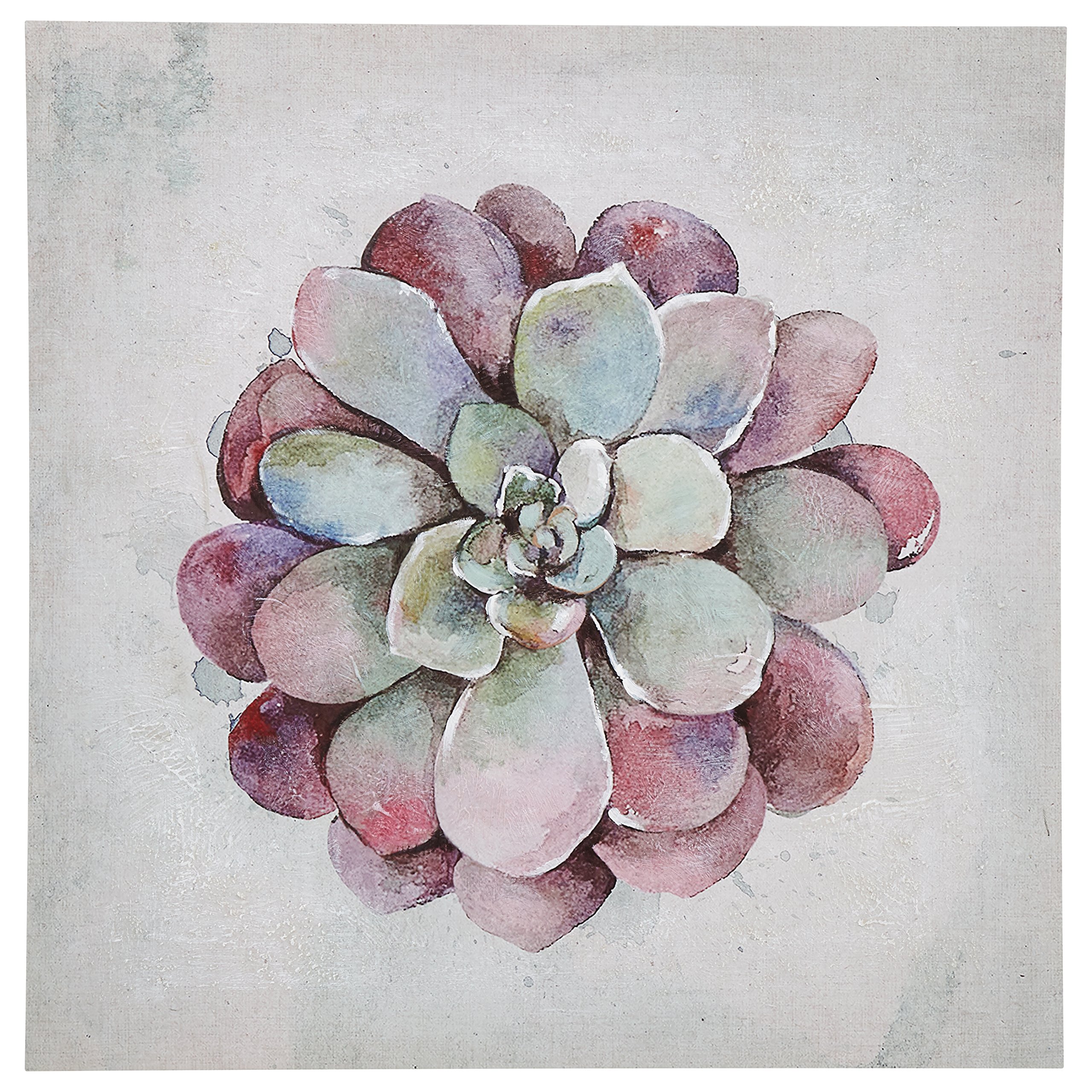 Amazon Brand – Stone & Beam Modern Green and Pink Echeveria Succulent Flower Print Wall Art Decor on Canvas - 24" x 24"
