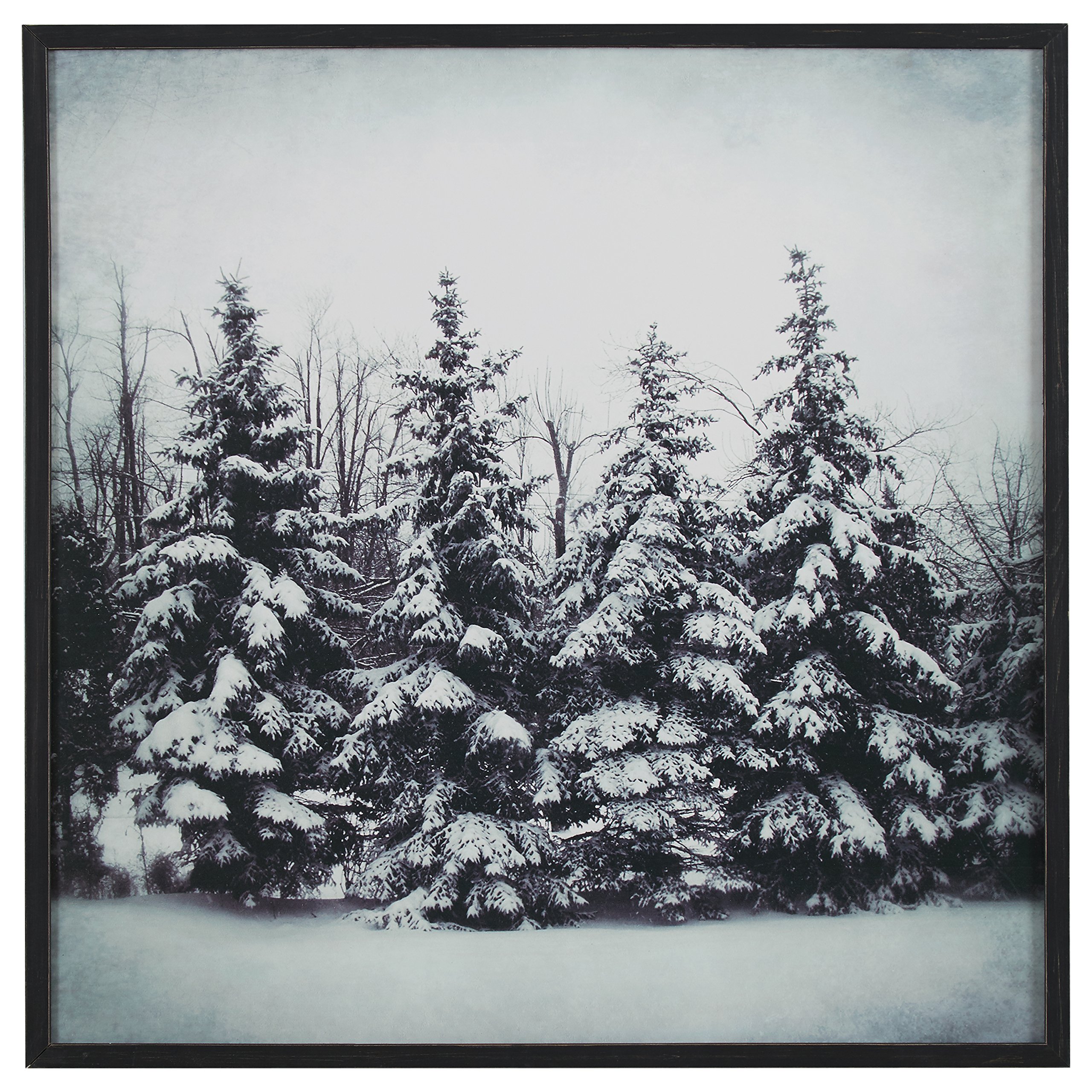 Amazon Brand – Stone & Beam Modern Black and White Print Wall Art of Forest Snow, Black Frame, 30" x 30"