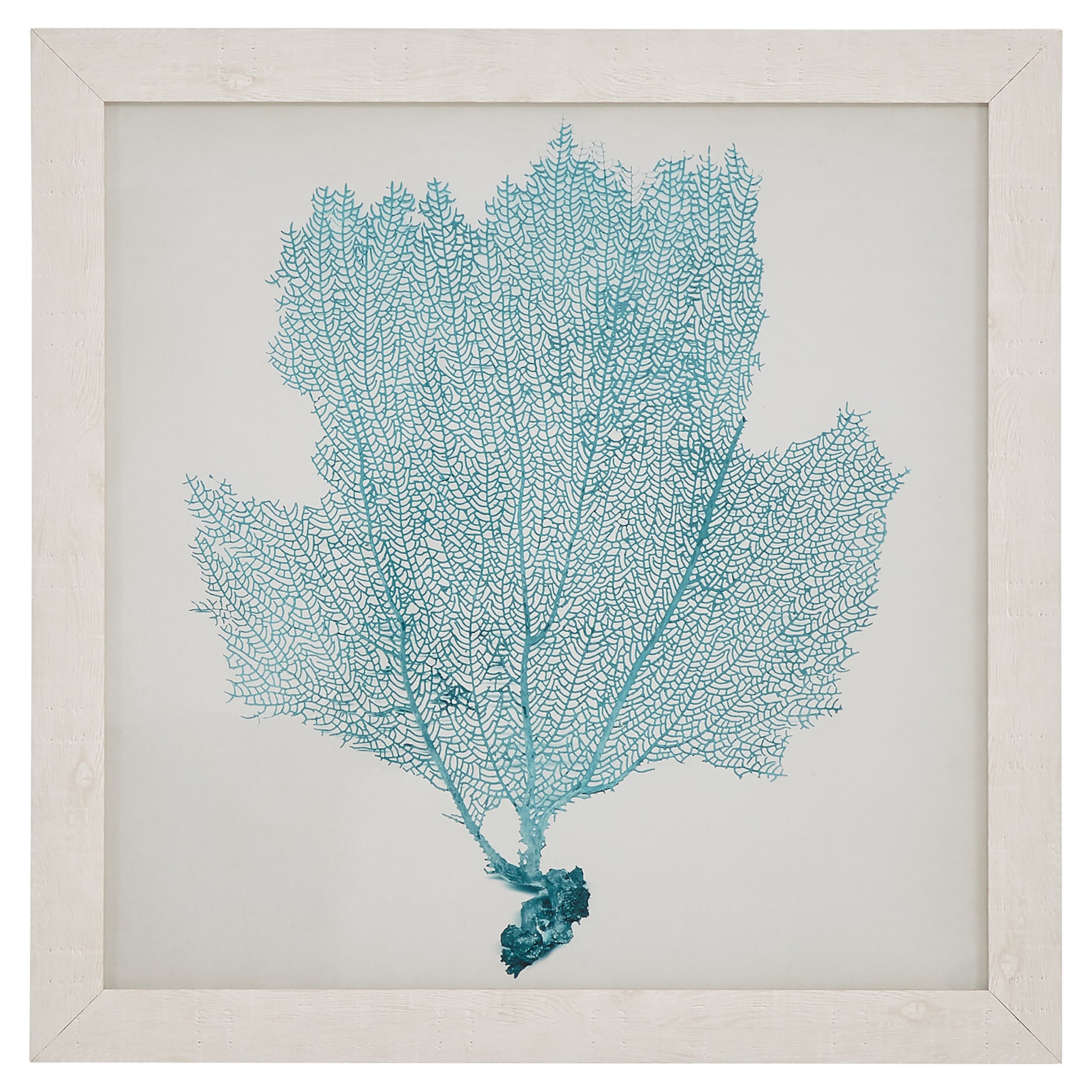 Amazon Brand – Stone & Beam Classic Seafoam Blue Sea Fan Coral Coastal Print Wall Art Decor - 23" x 23" Picture Frame, White
