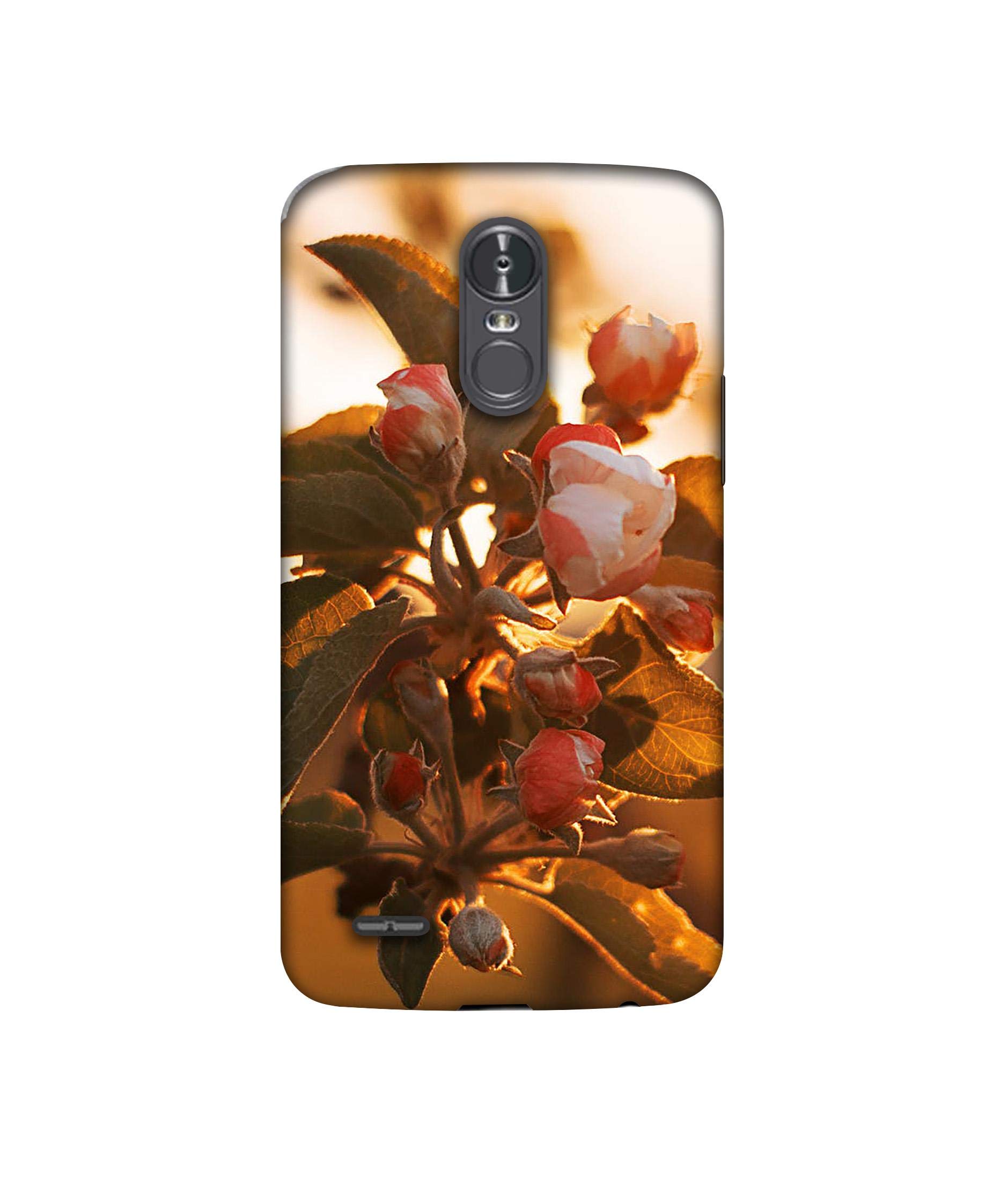Amazon Brand - Solimo Designer Flowers 3D Printed Hard Back Case Mobile Cover for LG Stylus 3