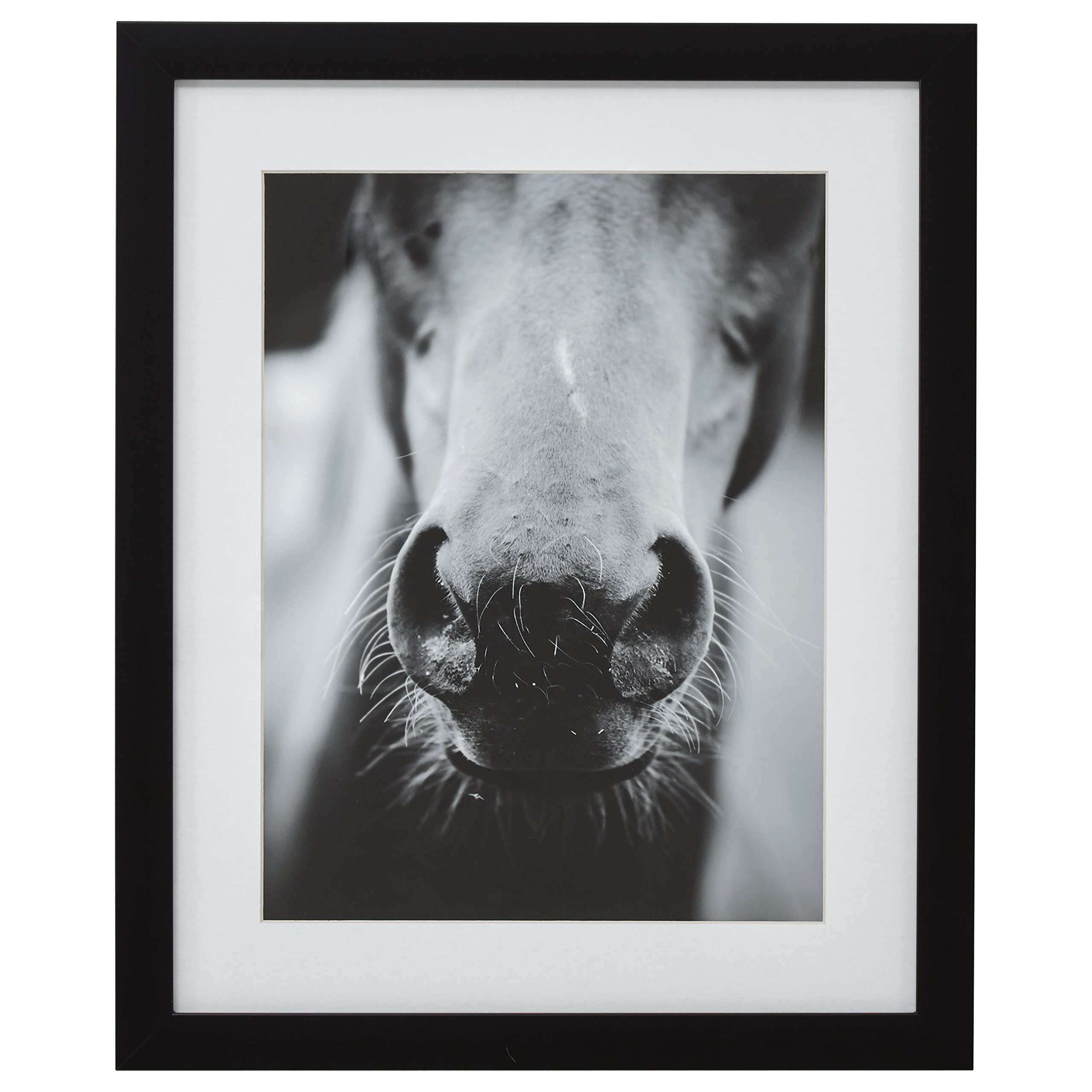 Amazon Brand – Stone & Beam Modern Black and White Horse Nose Photo Framed Wall Art Decor - 18" x 22" Frame, Black