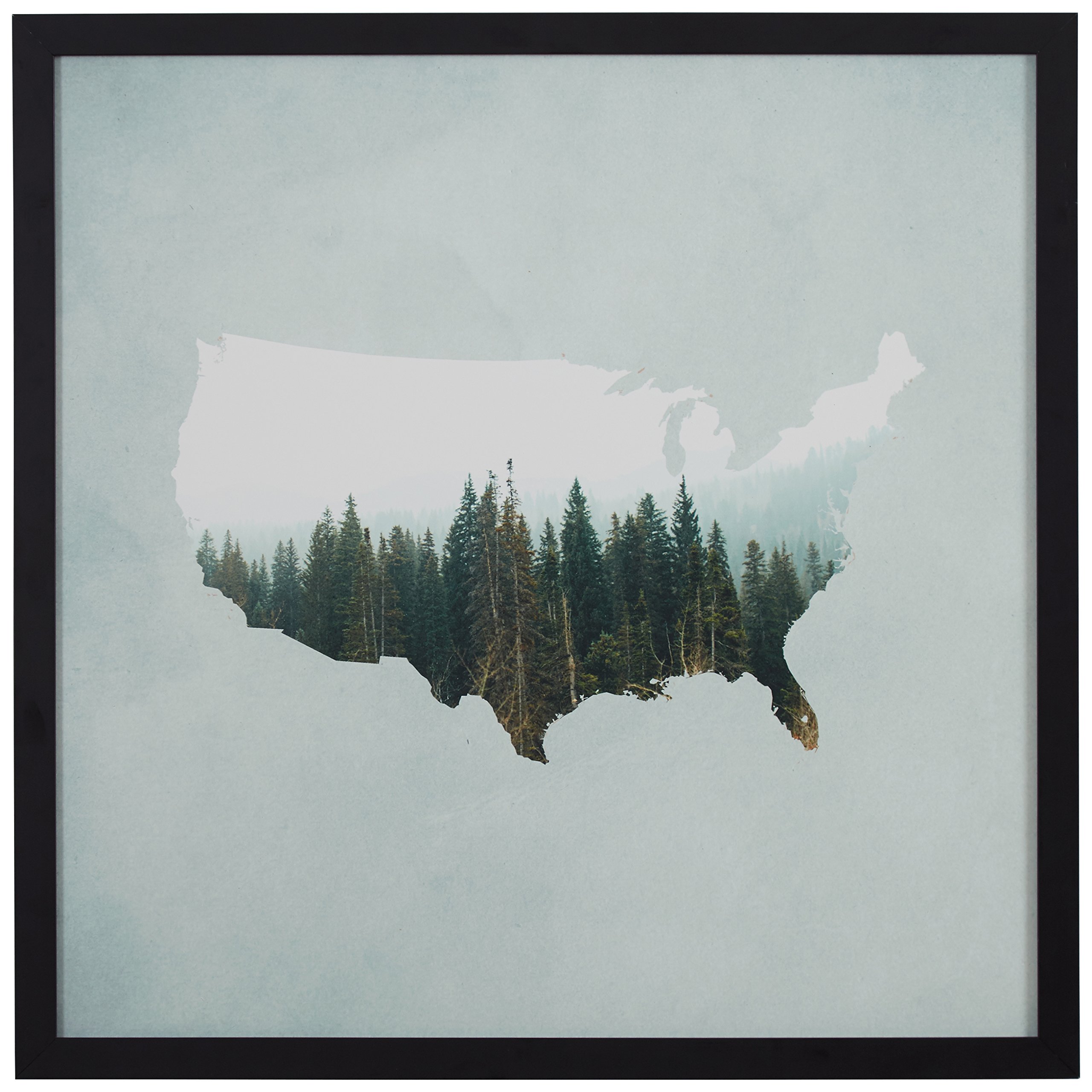 Amazon Brand – Rivet American Forest Map Wall Art Print in Black Wood Frame, 12" x 12"