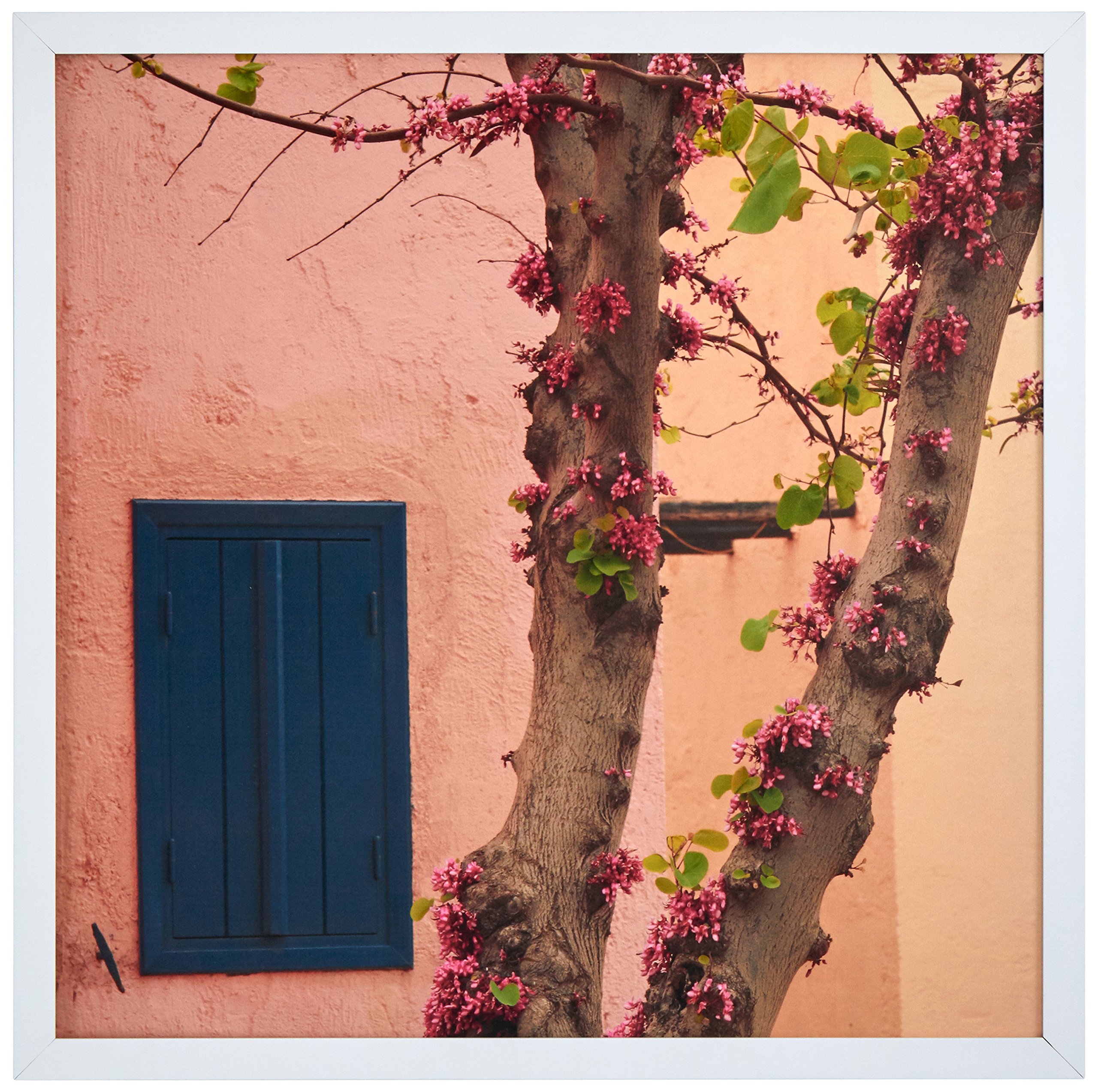 Amazon Brand – Rivet Pink Blossoms at the Villa in a White Wood Frame, 20" x 20"