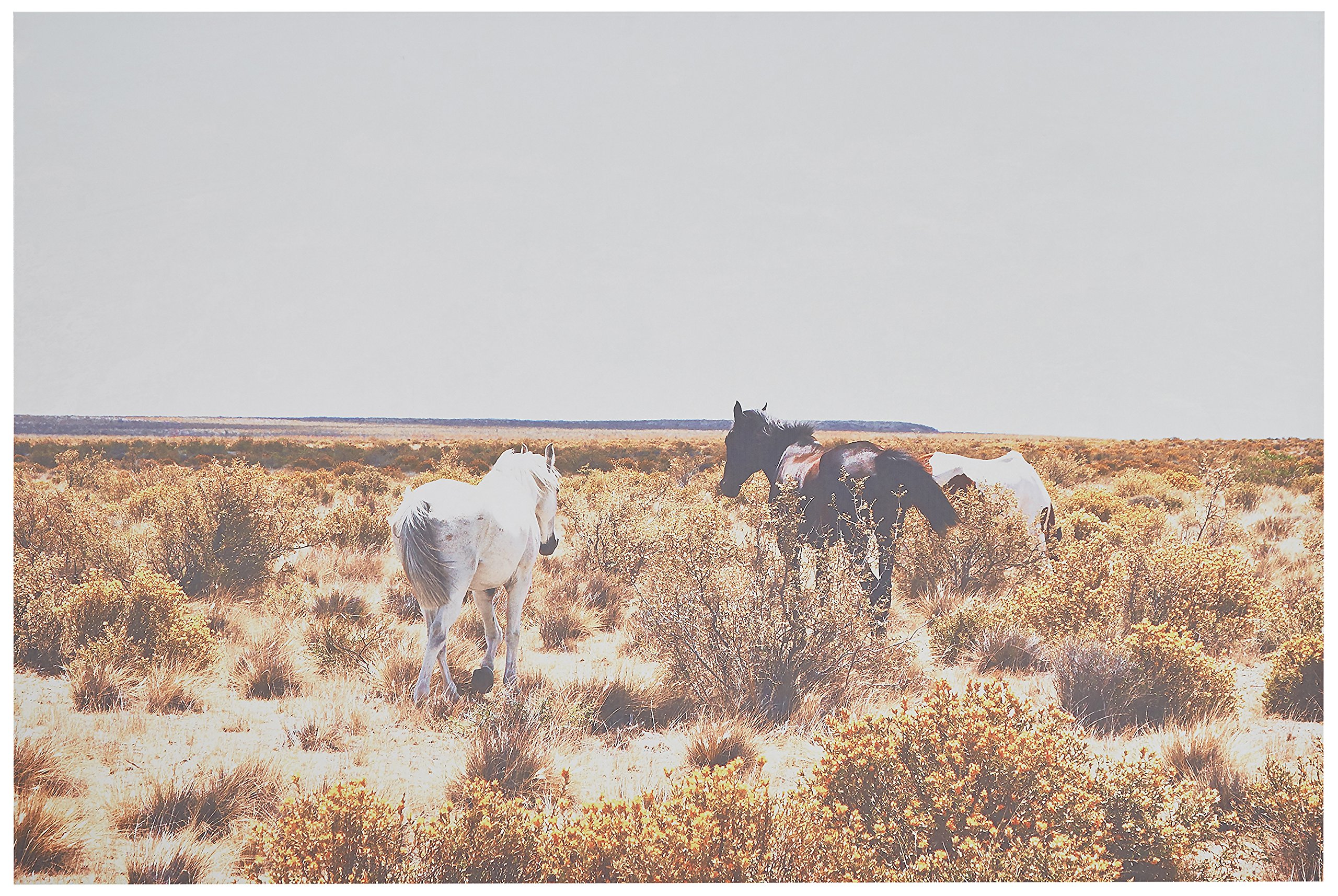 Amazon Brand – Rivet Canvas Print Wall Art of Horses Grazing in Desert Southwest Desert, 45" x 30"