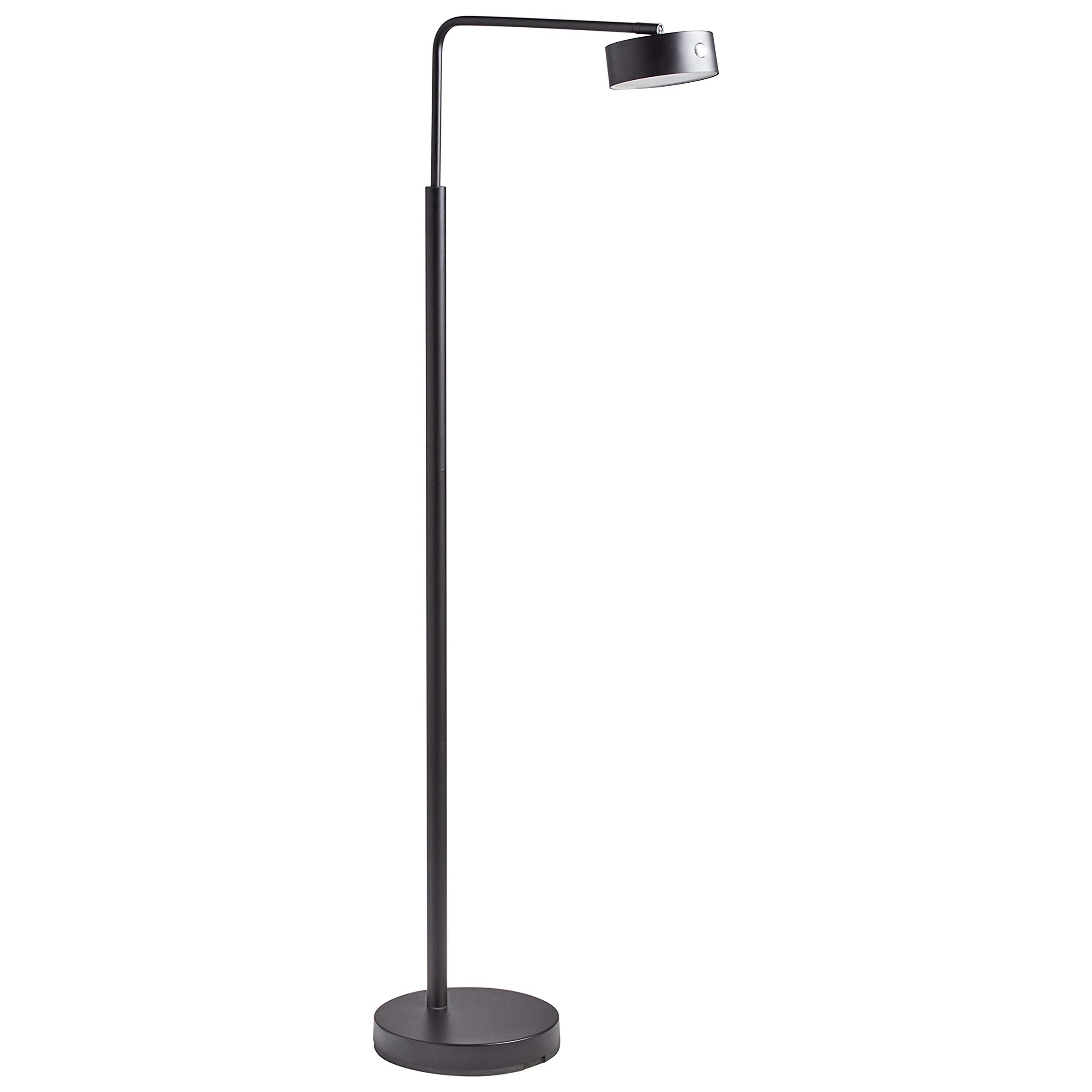 Stone & Beam Lámpara de pie moderna para sala de estar con luz LED integrada – 9 x 16 x 49 pulgadas, color negro mate