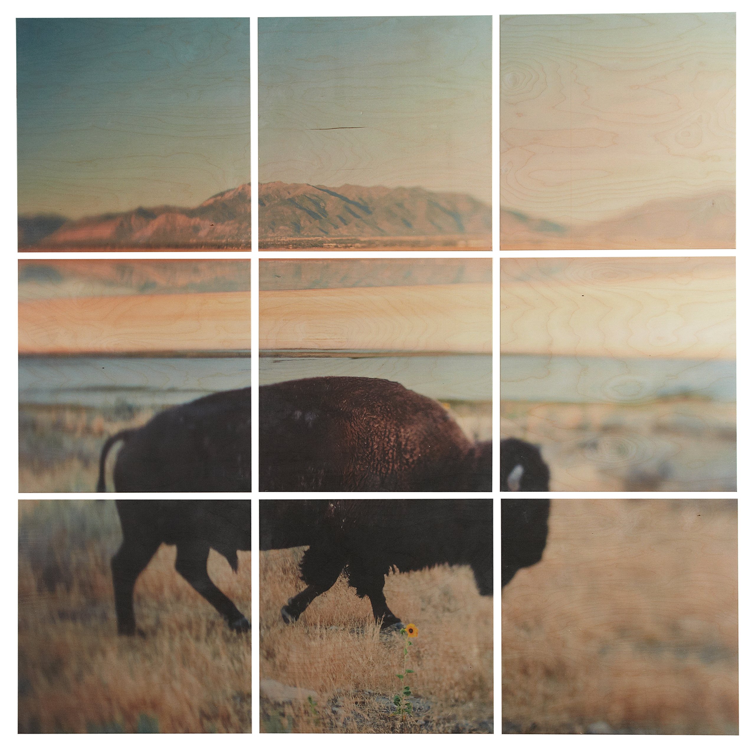 Amazon Brand – Rivet 9-Piece Southwest Bison Desert Mural Wall Art on Wood, 60" x 60"