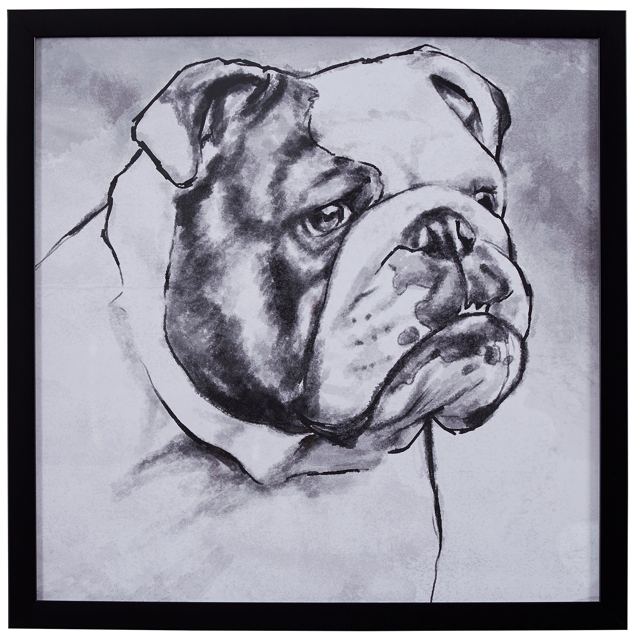 Amazon Brand – Stone & Beam Modern Black and White Print Wall Art of English Bulldog, Black Frame, 18" x 18"