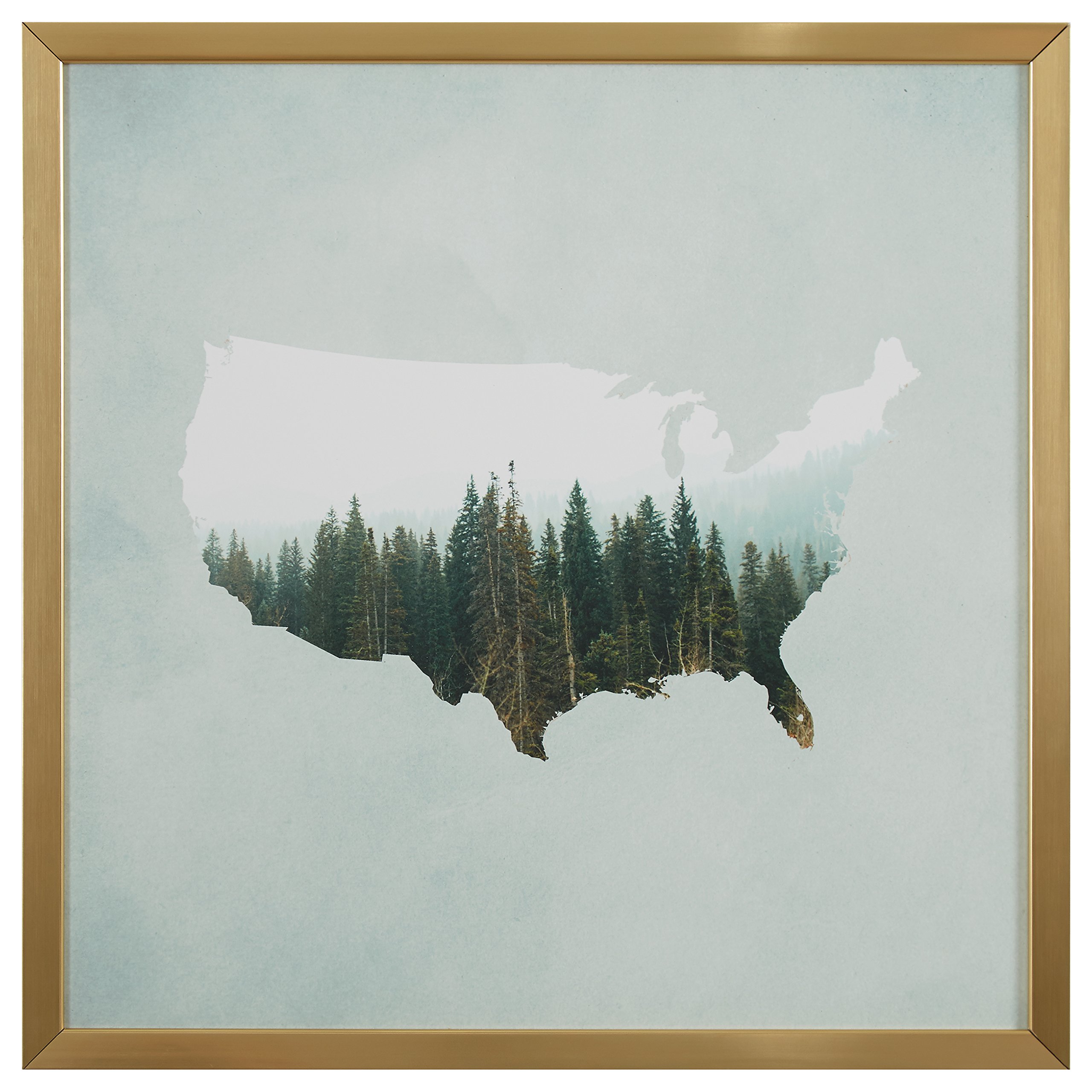 Amazon Brand – Rivet American Forest Map Wall Art Print in Gold Wood Frame, 30" x 30"