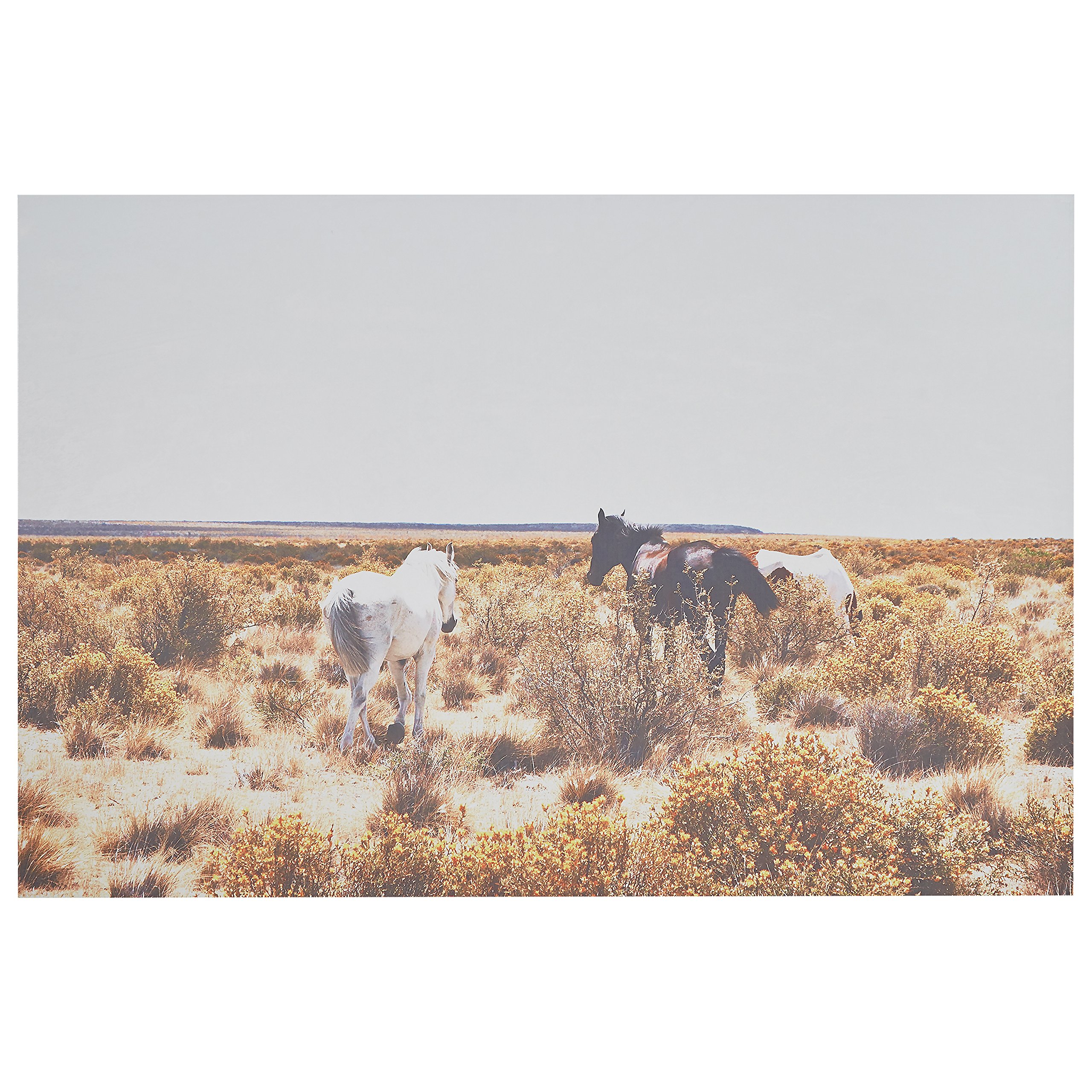 Amazon Brand – Rivet Canvas Print Wall Art of Horses Grazing in Desert Southwest Desert, 60" x 40"