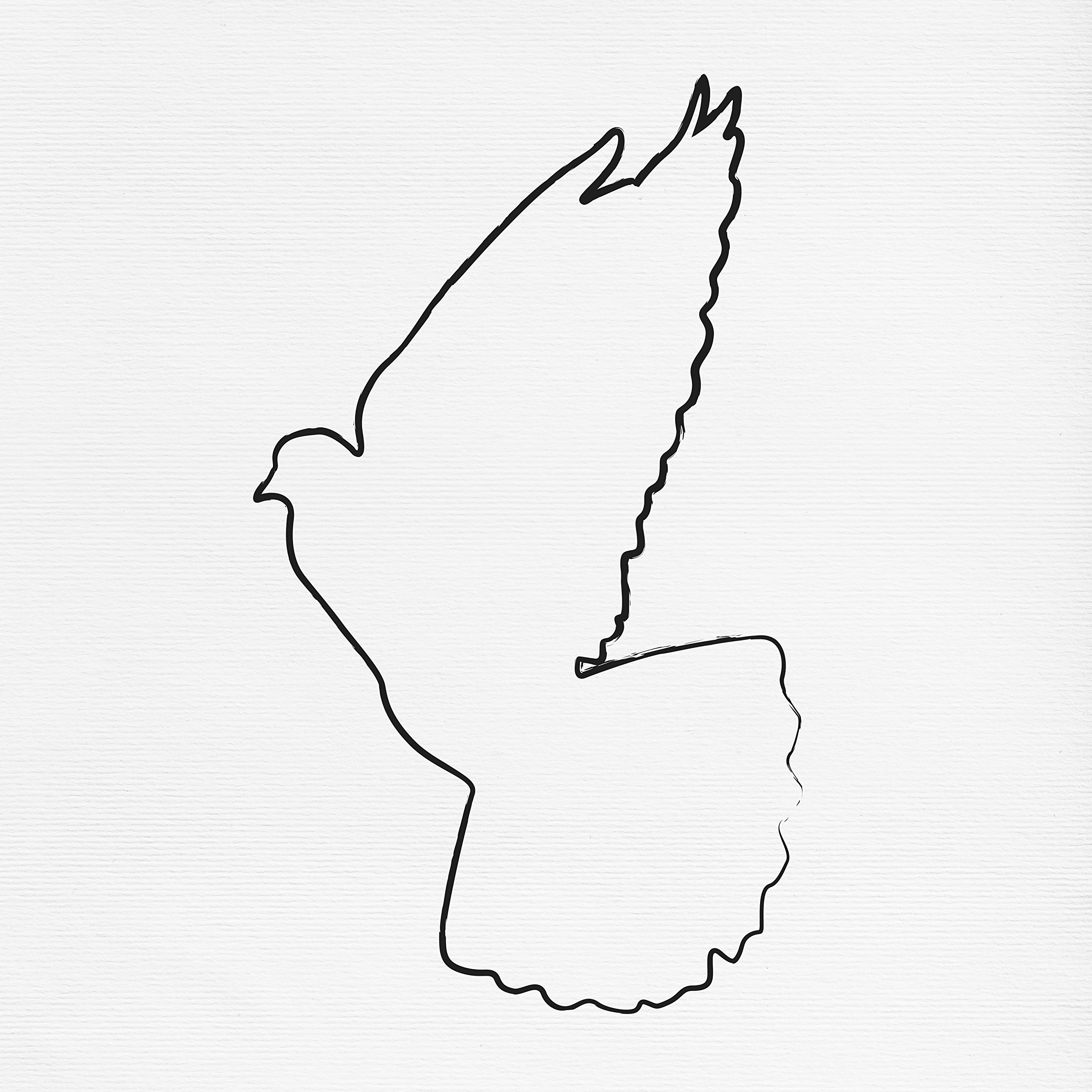 Amazon Brand – Stone & Beam Modern Left-Facing Bird Line Drawing, 24"W, Black & White