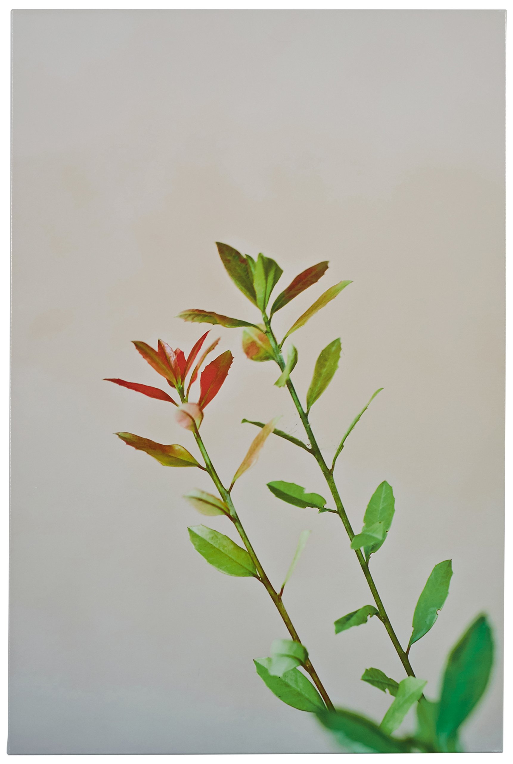 Amazon Brand – Rivet Fall Red and Green Floral Canvas Print, 24" x 36"