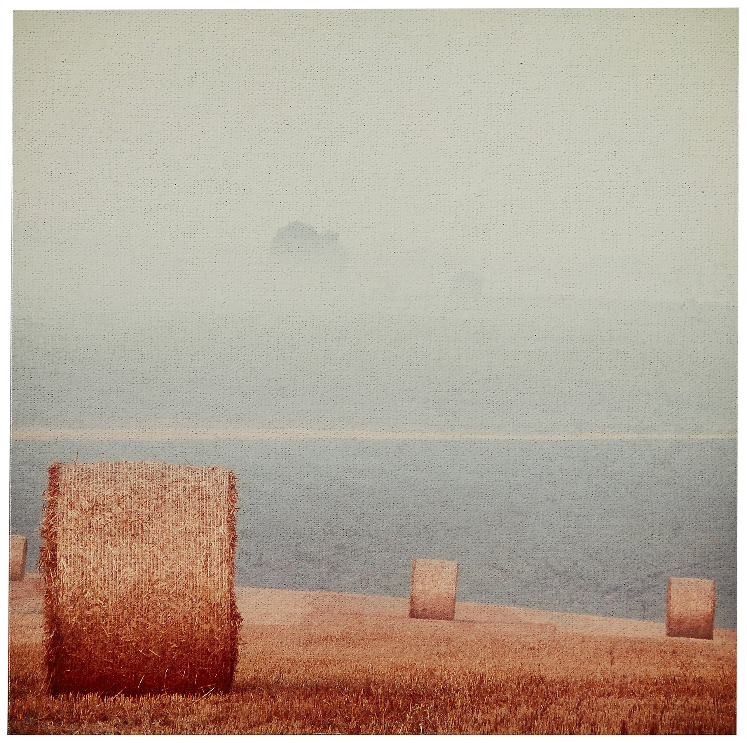 Amazon Brand – Stone & Beam Contemporary Gold and Grey Hay Bales Print Wall Art on Canvas, 24" x 24"