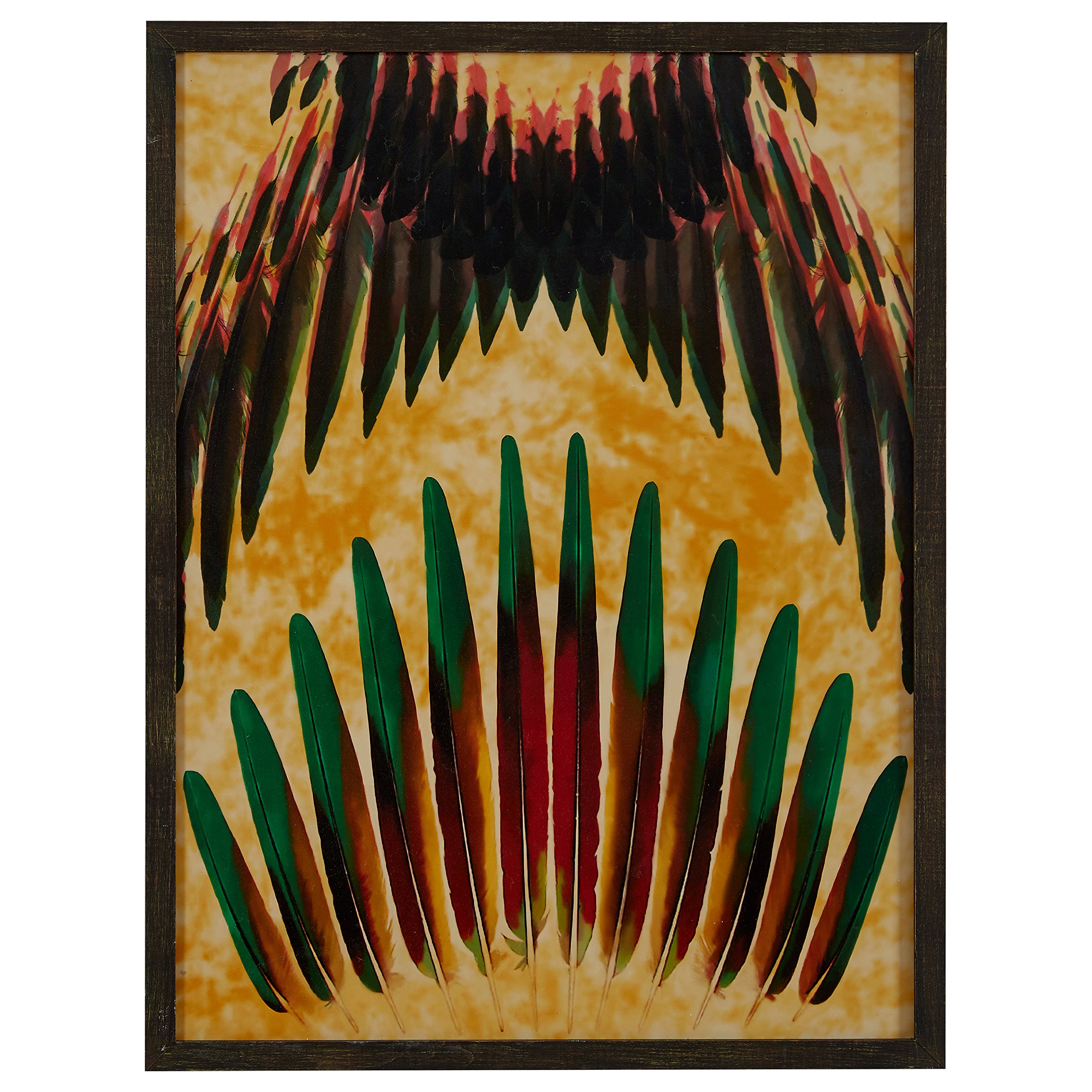 Amazon Brand – Rivet Spanned Red, Green and Gold Feathers in Dark Gray Frame Wall Art, 32" x 42"