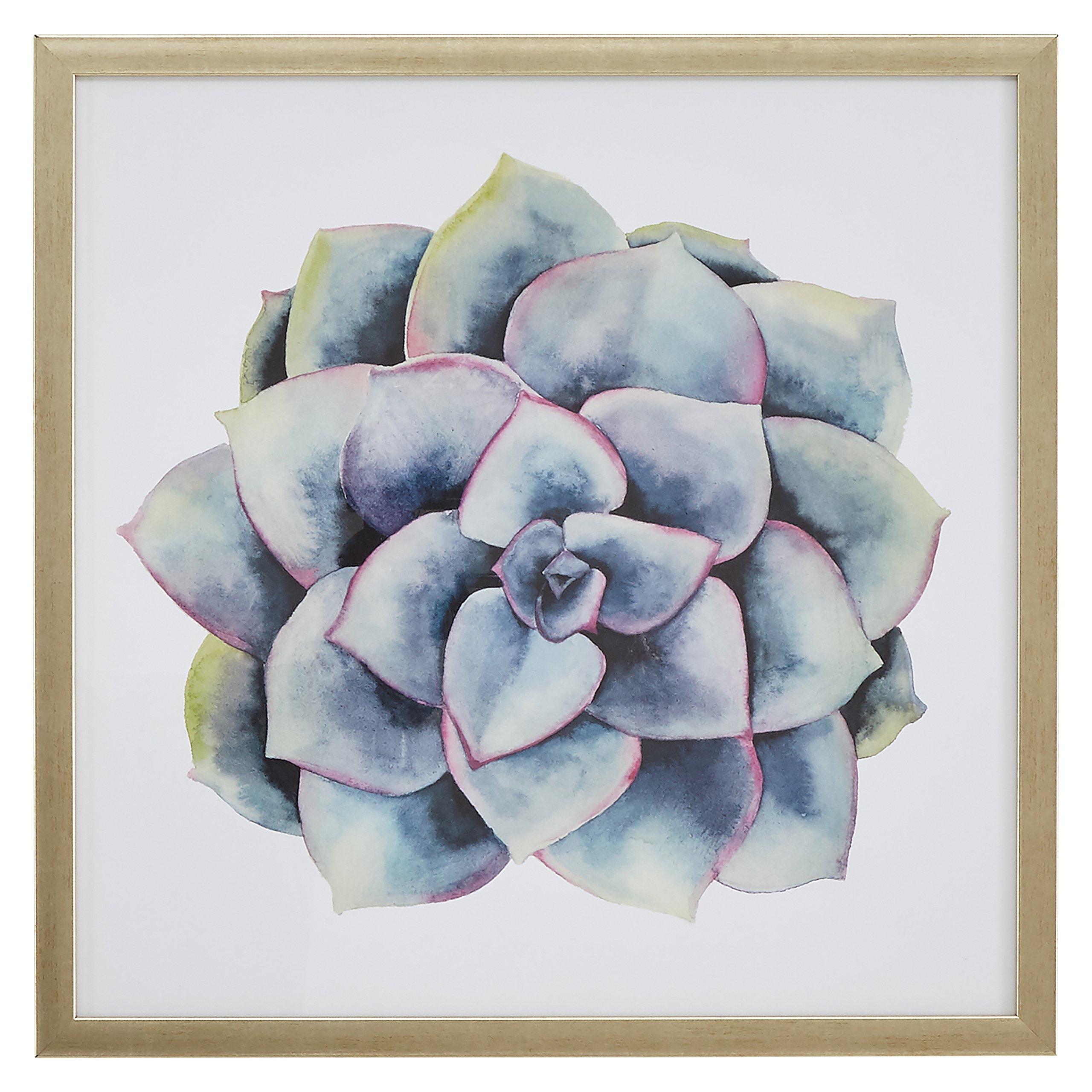 Amazon Brand – Stone & Beam Modern Blue and Purple Succulent Plant Print II Wall Art Decor - 20" x 20" Frame, Light Gold