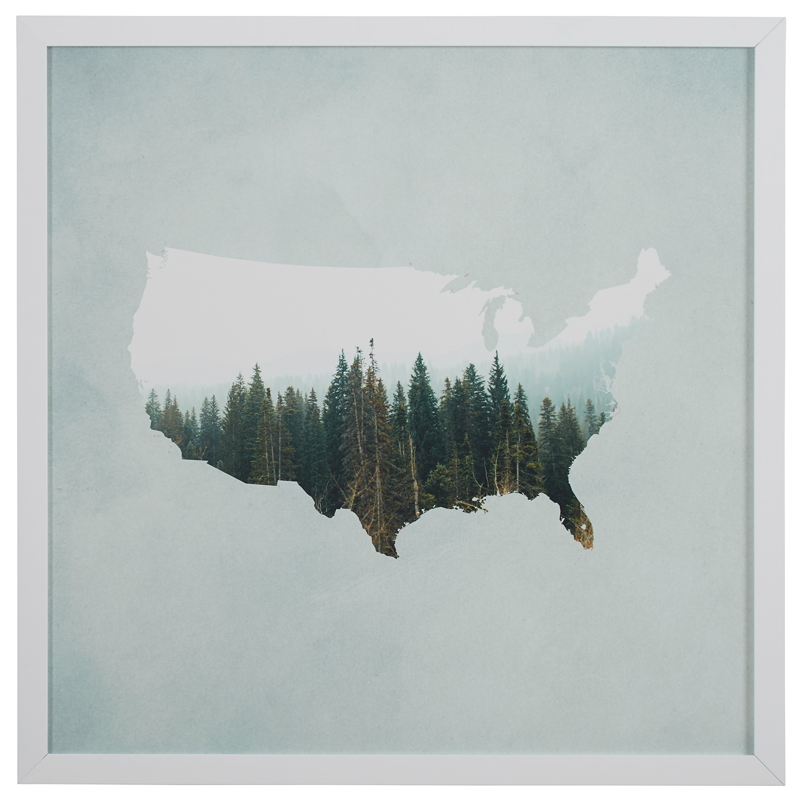 Amazon Brand – Rivet American Forest Map Wall Art Print in White Wood Frame, 30" x 30"