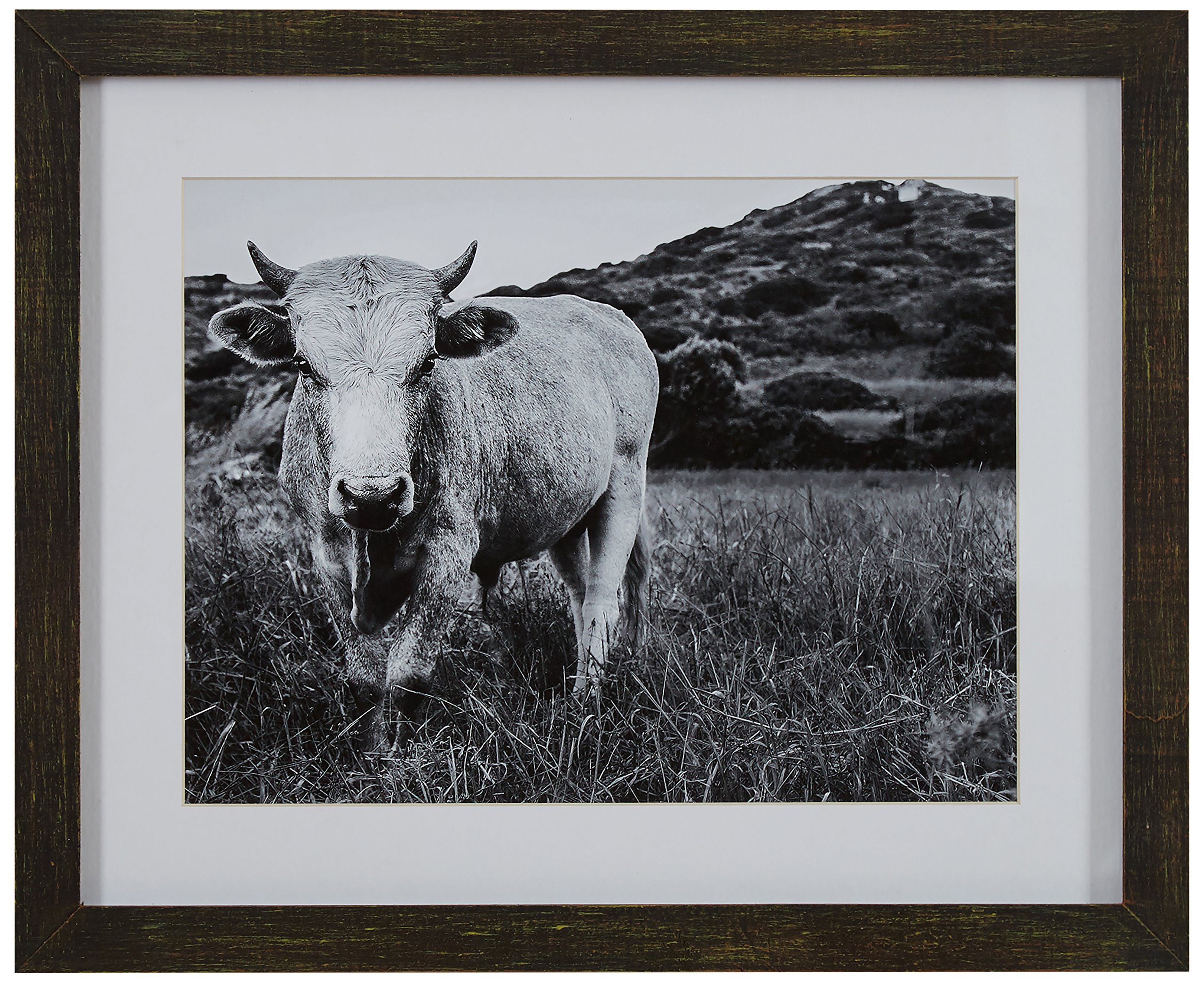 Amazon Brand – Stone & Beam Modern Black and White Photo of Bull Wall Art in Charcoal Frame, 15" x 13"