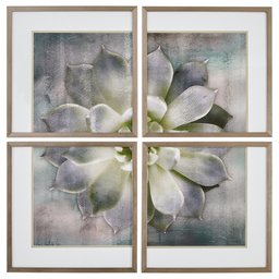 Amazon Brand – Stone & Beam Classic 4-Piece Succulent Print, Wood-Tone Frame, 20" x 20"