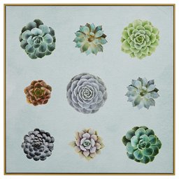 Amazon Brand – Rivet Six Succulent Print in Birch Floater Frame Wall Art, 36"x 36"