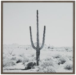 Amazon Brand – Stone & Beam Modern Black and White Desert Cactus Photo on Wood, Grey Frame, 12" x 12"