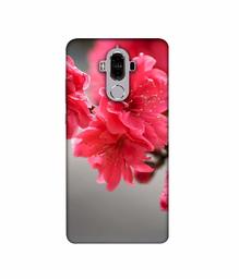 Amazon Brand - Solimo Designer Blossom Like Flower 3D Printed Hard Back Case Mobile Cover for Huawei Mate 9