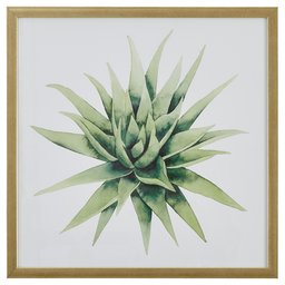 Amazon Brand – Stone & Beam Muted Aloe Vera Print Framed Wall Art Decor - 20" x 20" Frame, Light Gold