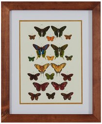 Modern Green and Gold Butterfly Print, Brown Frame, 14.25" x 17.25"