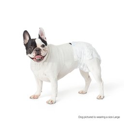 AmazonBasics Disposable Dog Diaper, Small, 30-Pack