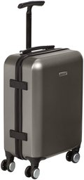 AmazonBasics Metallic Spinner- 20 inch, Graphite