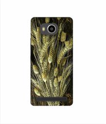 Amazon Brand - Solimo Designer Wheat Plants 3D Printed Hard Back Case Mobile Cover for Lenovo A7700