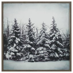 Amazon Brand – Stone & Beam Modern Black and White Print of Forest Snow, Grey Frame, 30" x 30"