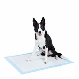 AmazonBasics Heavy Duty Pet and Puppy Training Pads, XL -50-Count